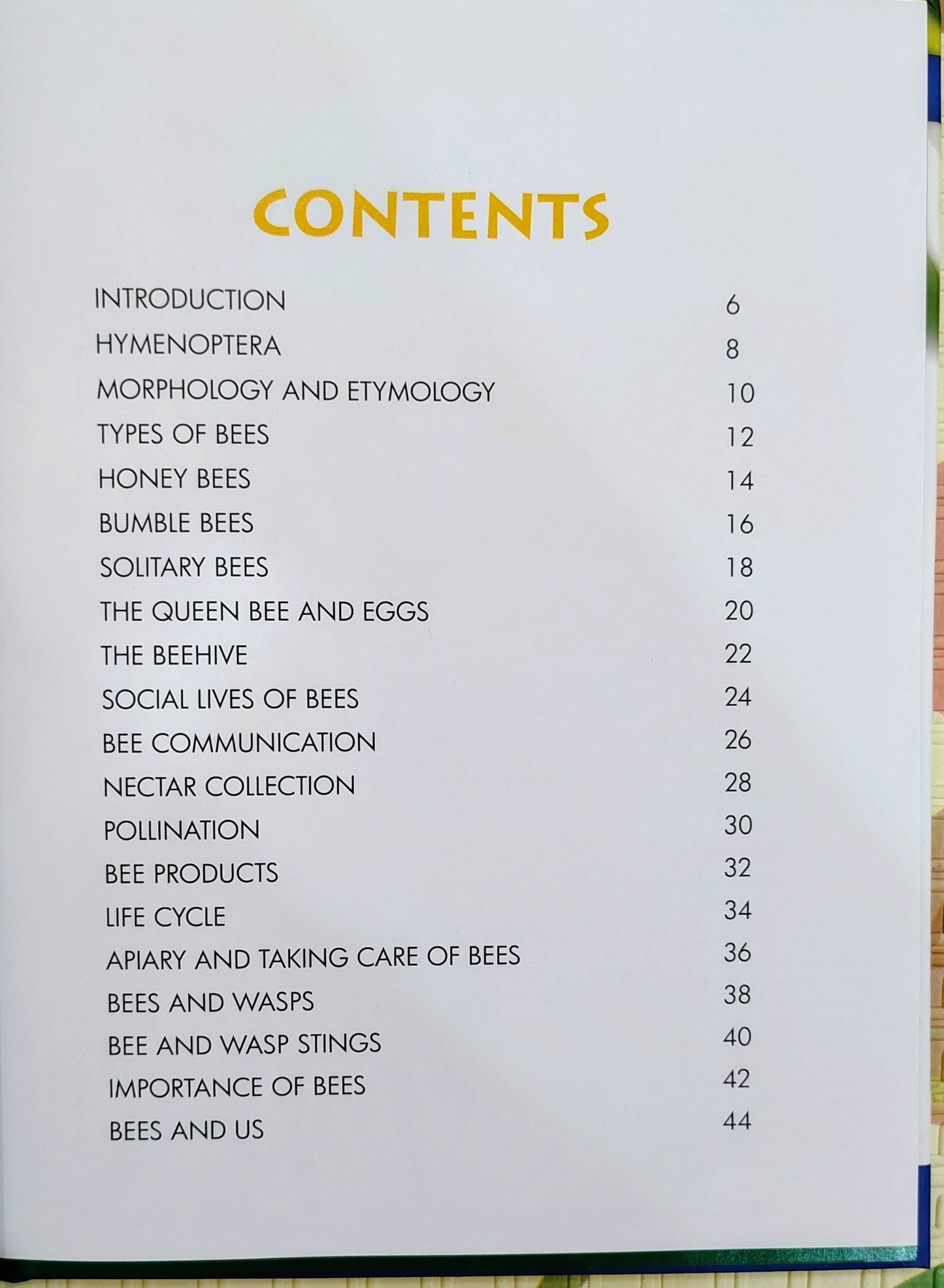 Discover Bees by Wonders of Learning | A visual Guide