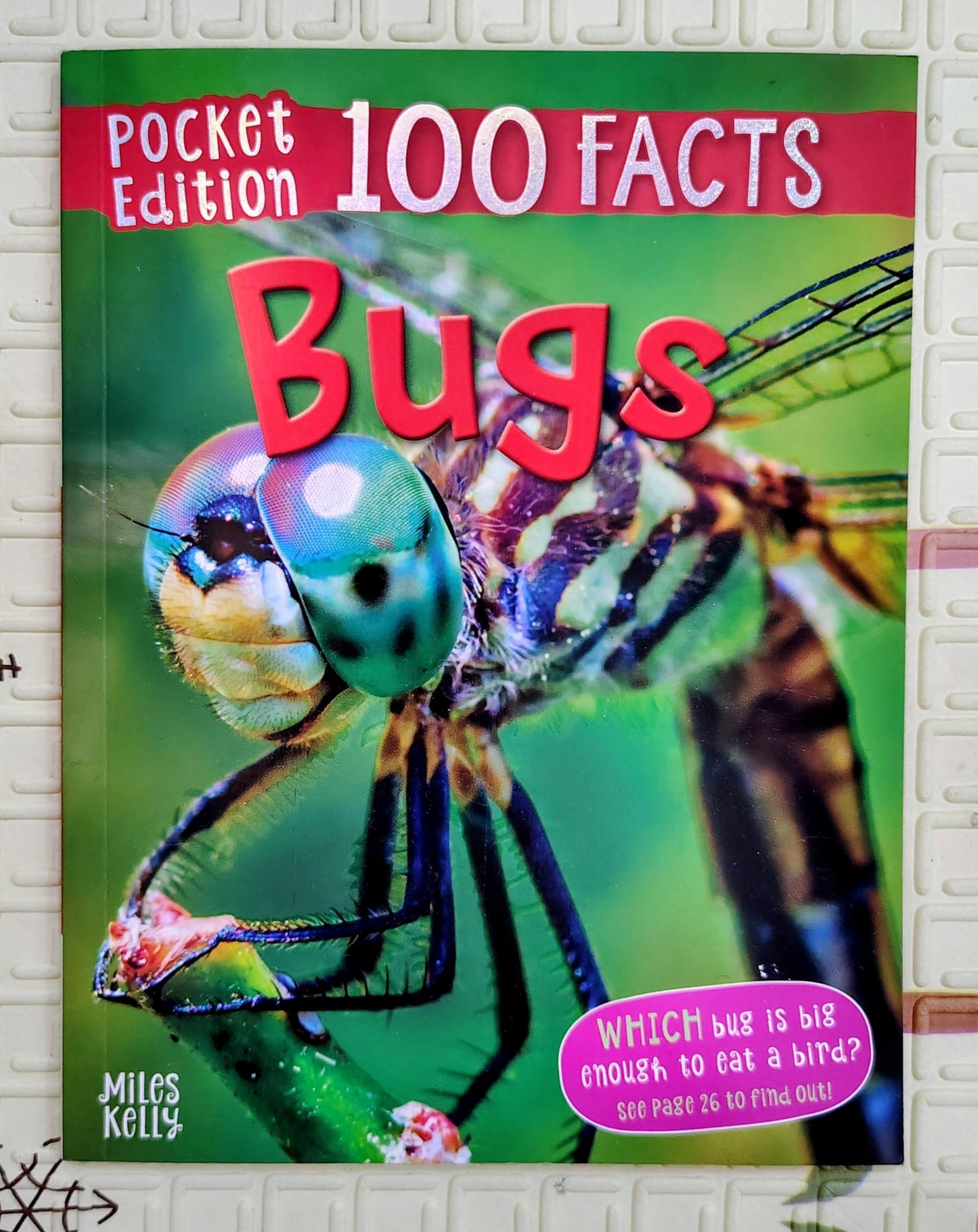 100 Facts: Bugs | Pocket Edition | Miles Kelly