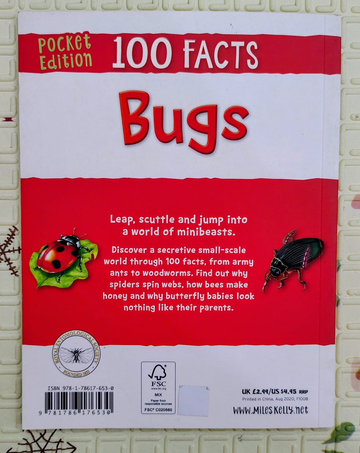 100 Facts: Bugs | Pocket Edition | Miles Kelly