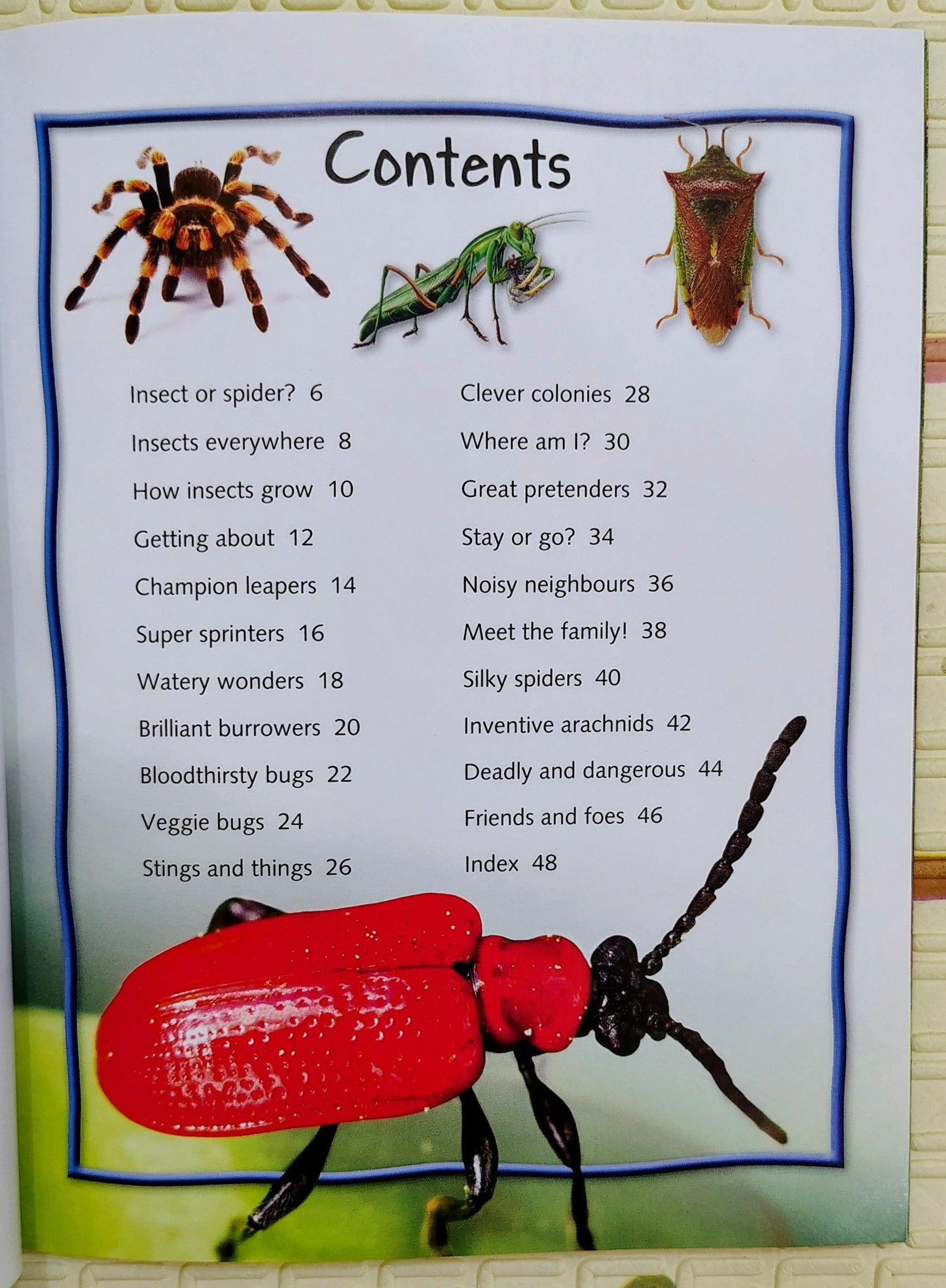 100 Facts: Bugs | Pocket Edition | Miles Kelly