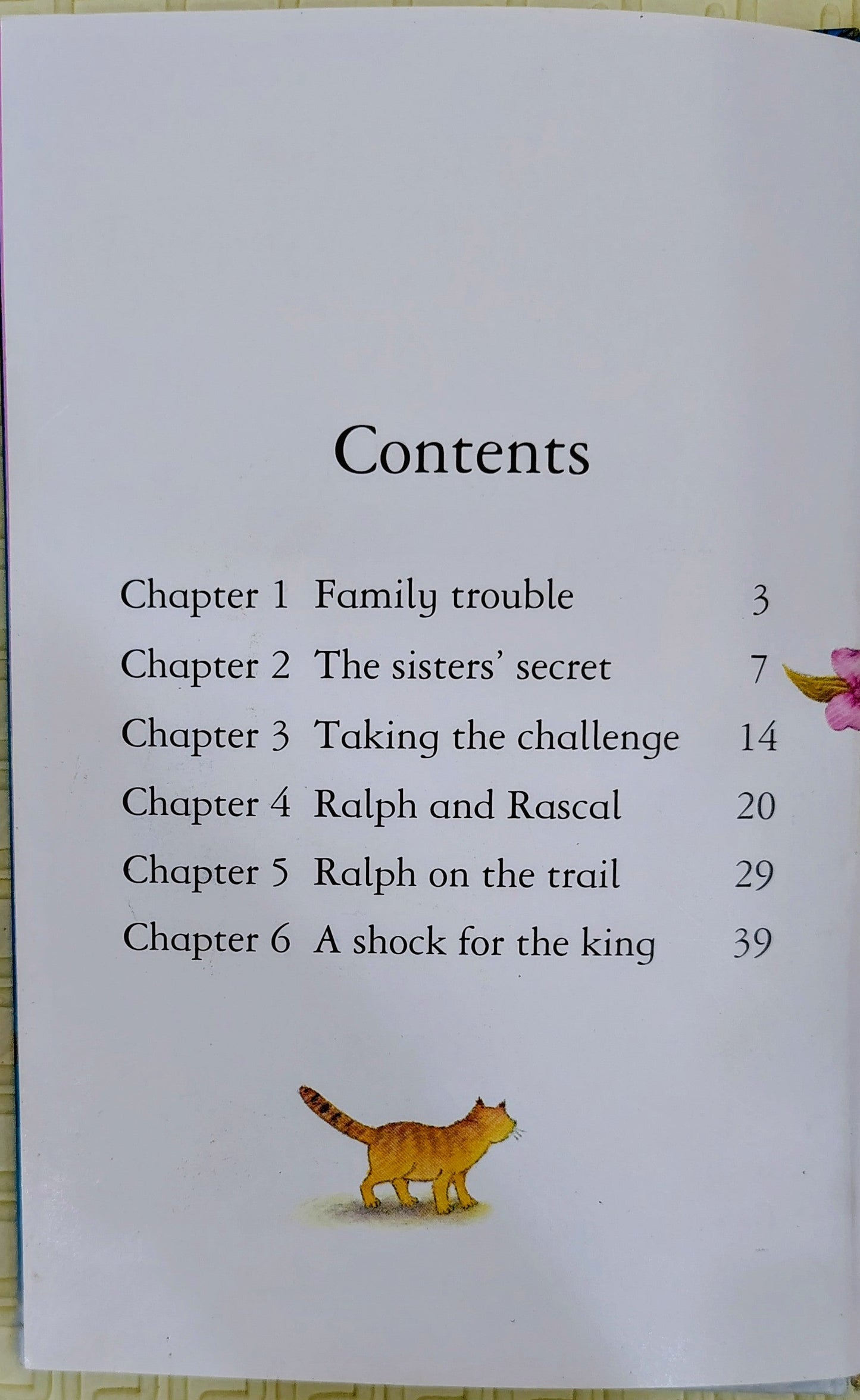 The Twelve Dancing Princesses by Usborne | Chapter Book