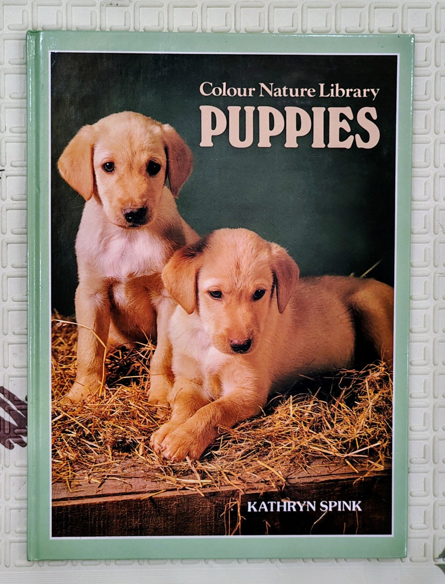 Puppies by Kathryn Spink | Colour Nature Library