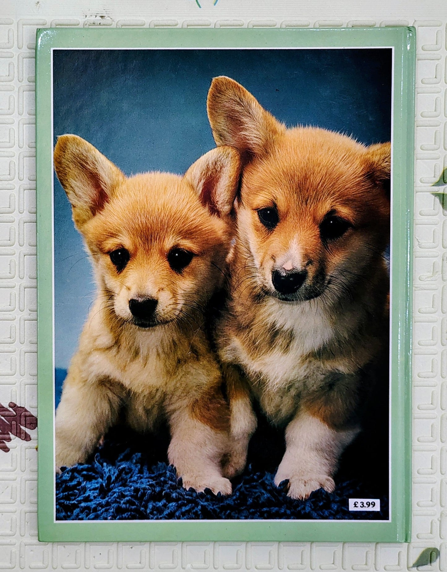 Puppies by Kathryn Spink | Colour Nature Library