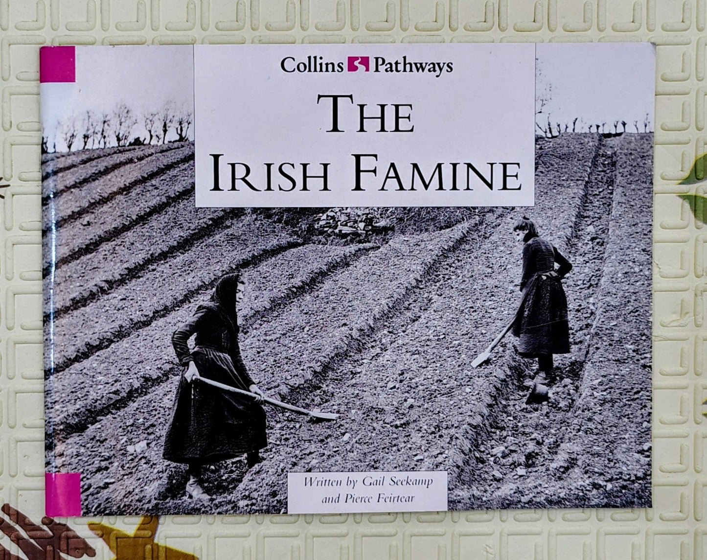 The Irish Famine by Gail Seckamp and Pierce Feirtear | Collins Pathways