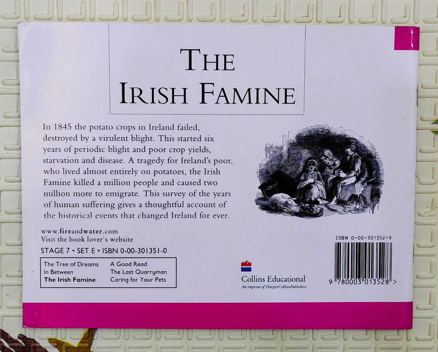 The Irish Famine by Gail Seckamp and Pierce Feirtear | Collins Pathways