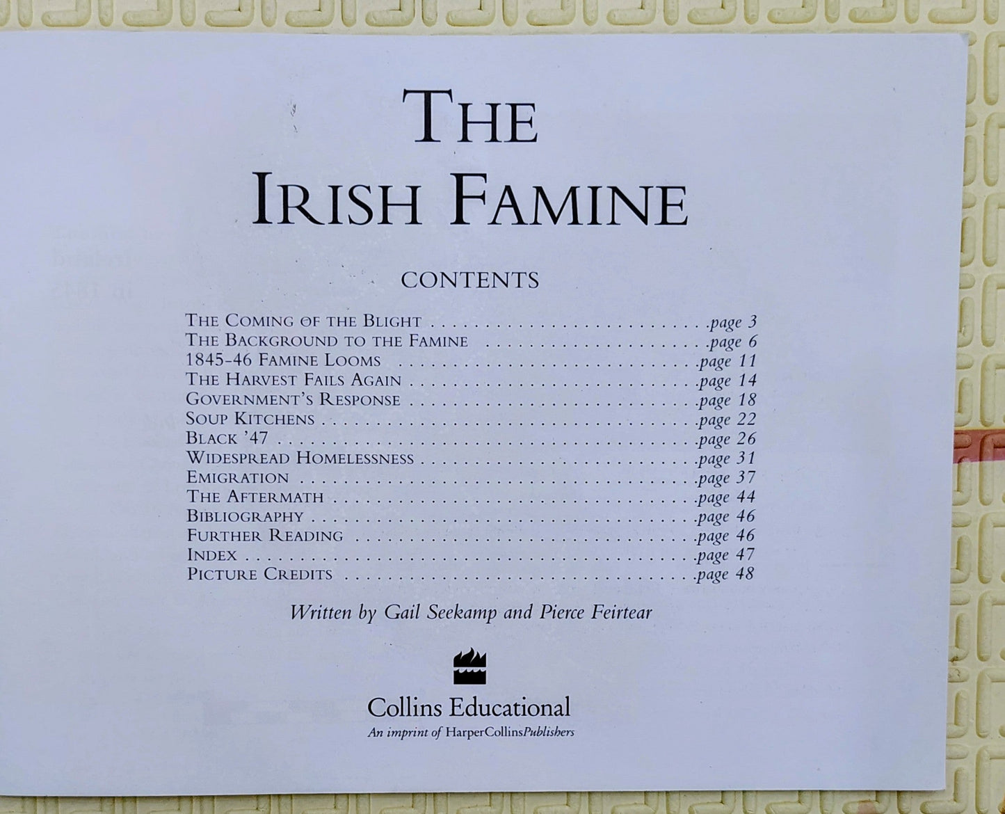 The Irish Famine by Gail Seckamp and Pierce Feirtear | Collins Pathways