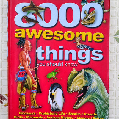 8000 Awesome Things You Should Know | Miles Kelly