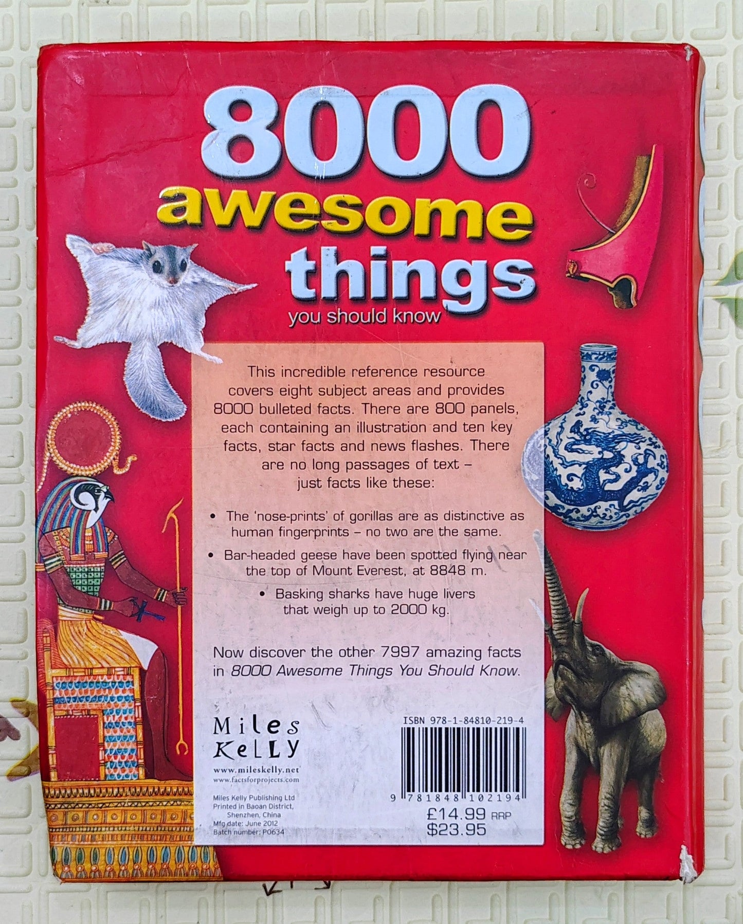 8000 Awesome Things You Should Know | Miles Kelly