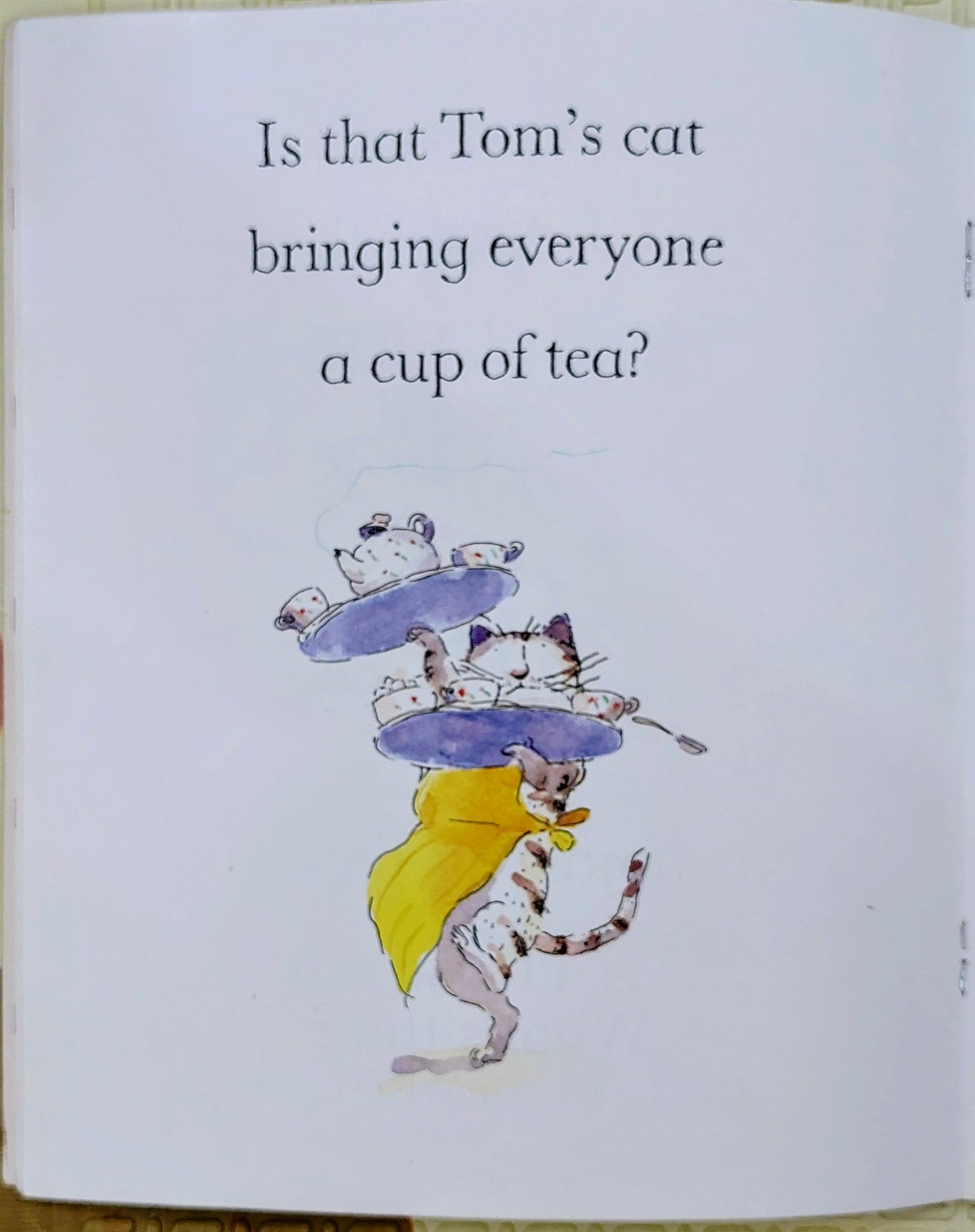 Tom's Cat by Charlotte Voake | Walker Books