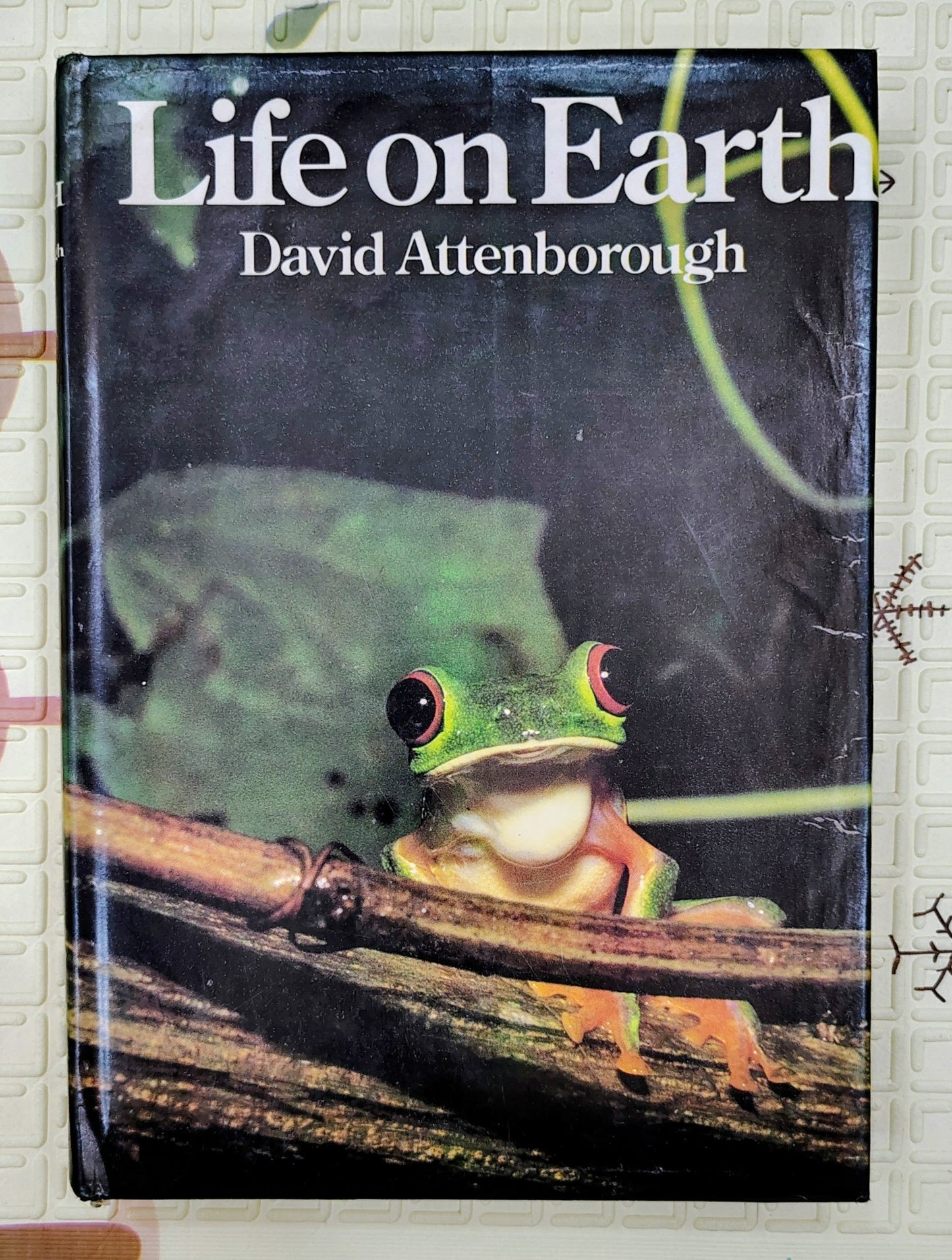 Life on Earth by David Attenborough | Nature's History