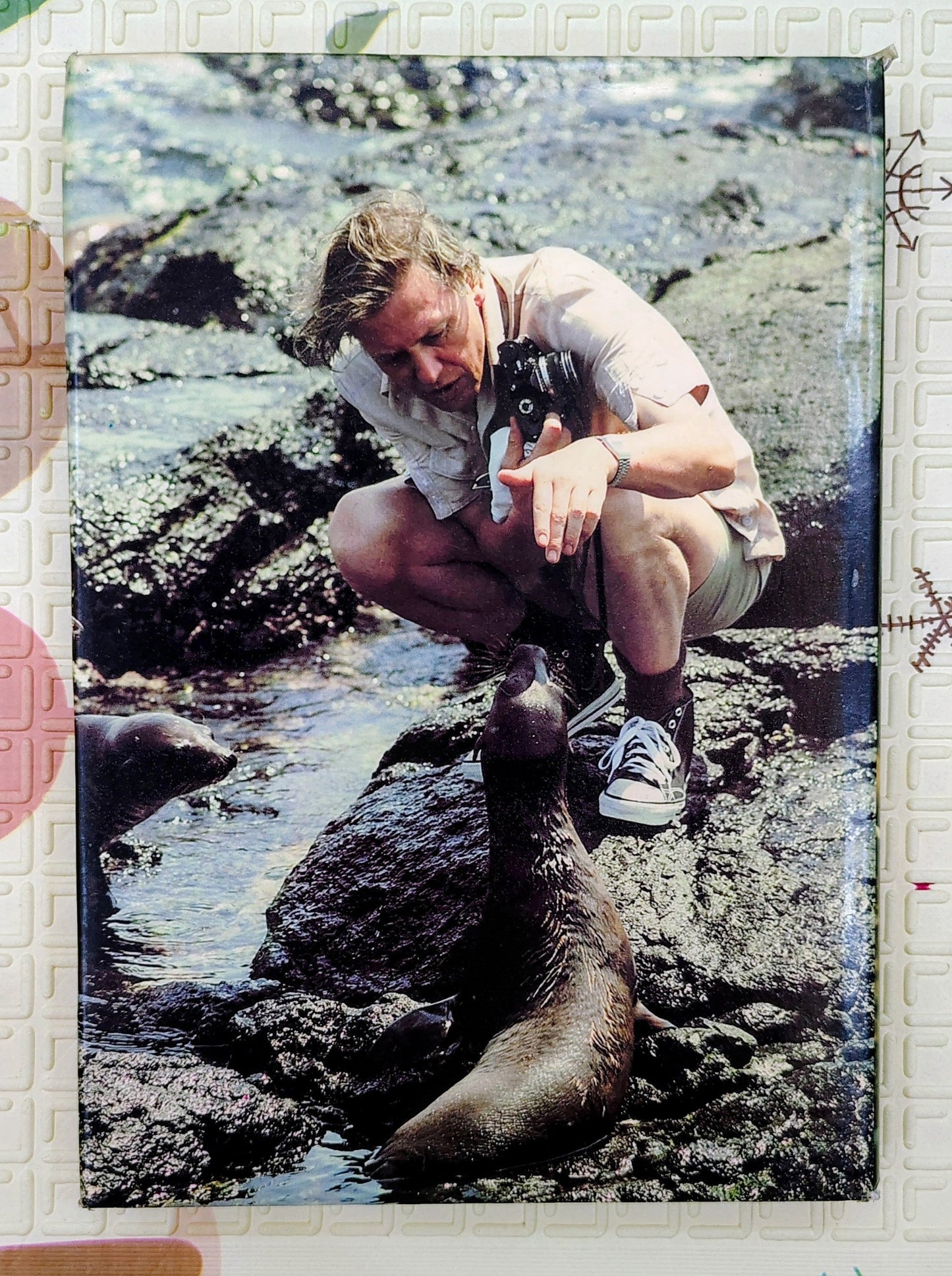 Life on Earth by David Attenborough | Nature's History