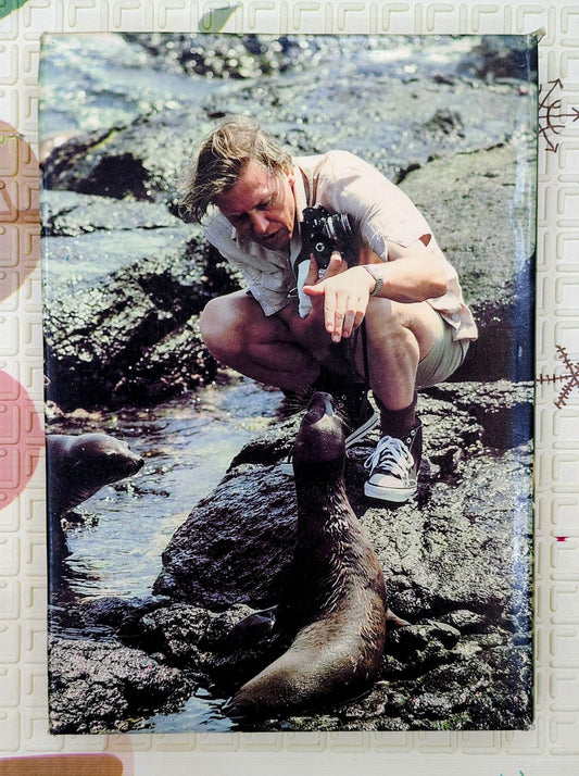 Life on Earth by David Attenborough | Nature's History