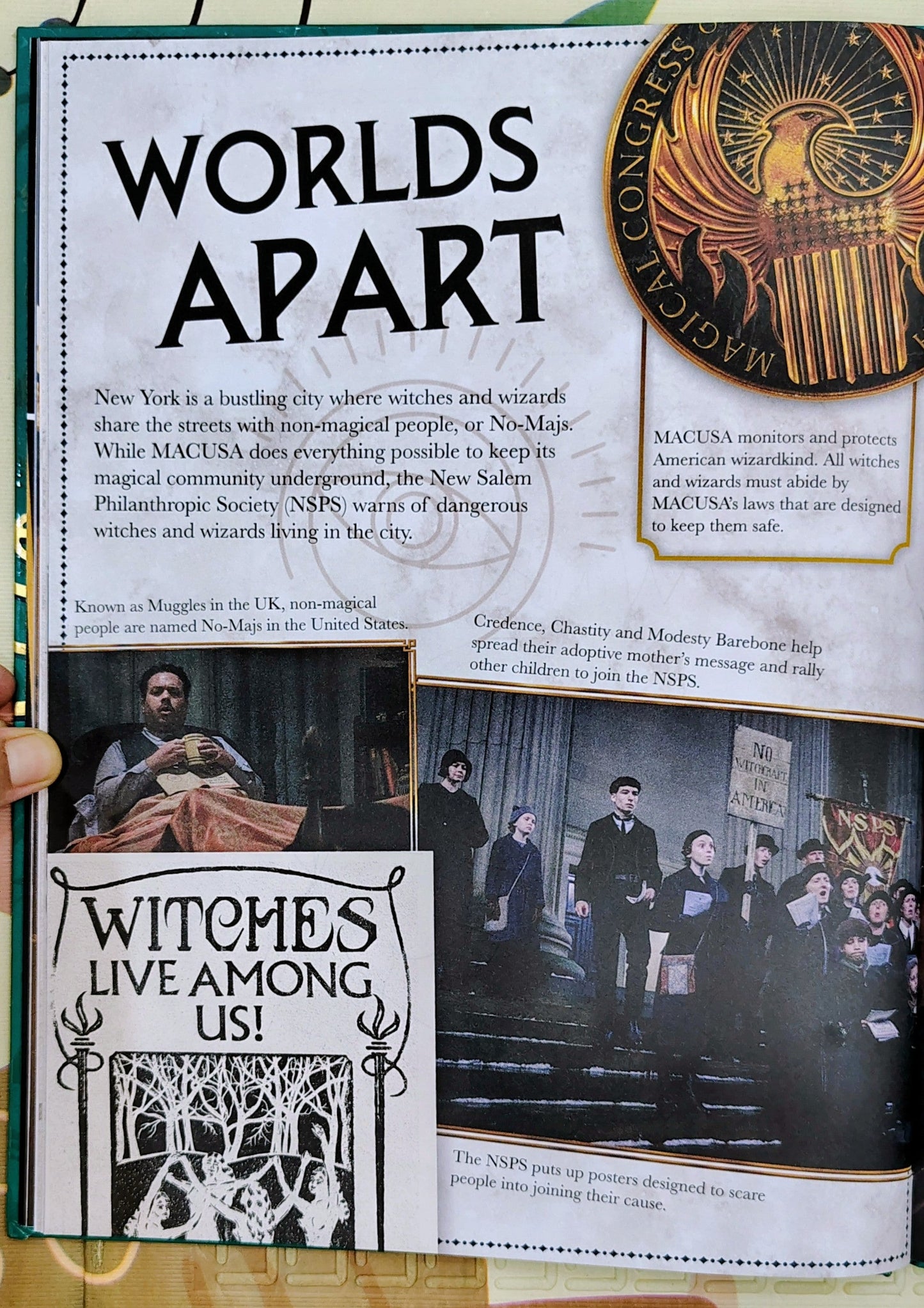 Fantastic Beasts: A Cinematic Yearbook by Warner Bros