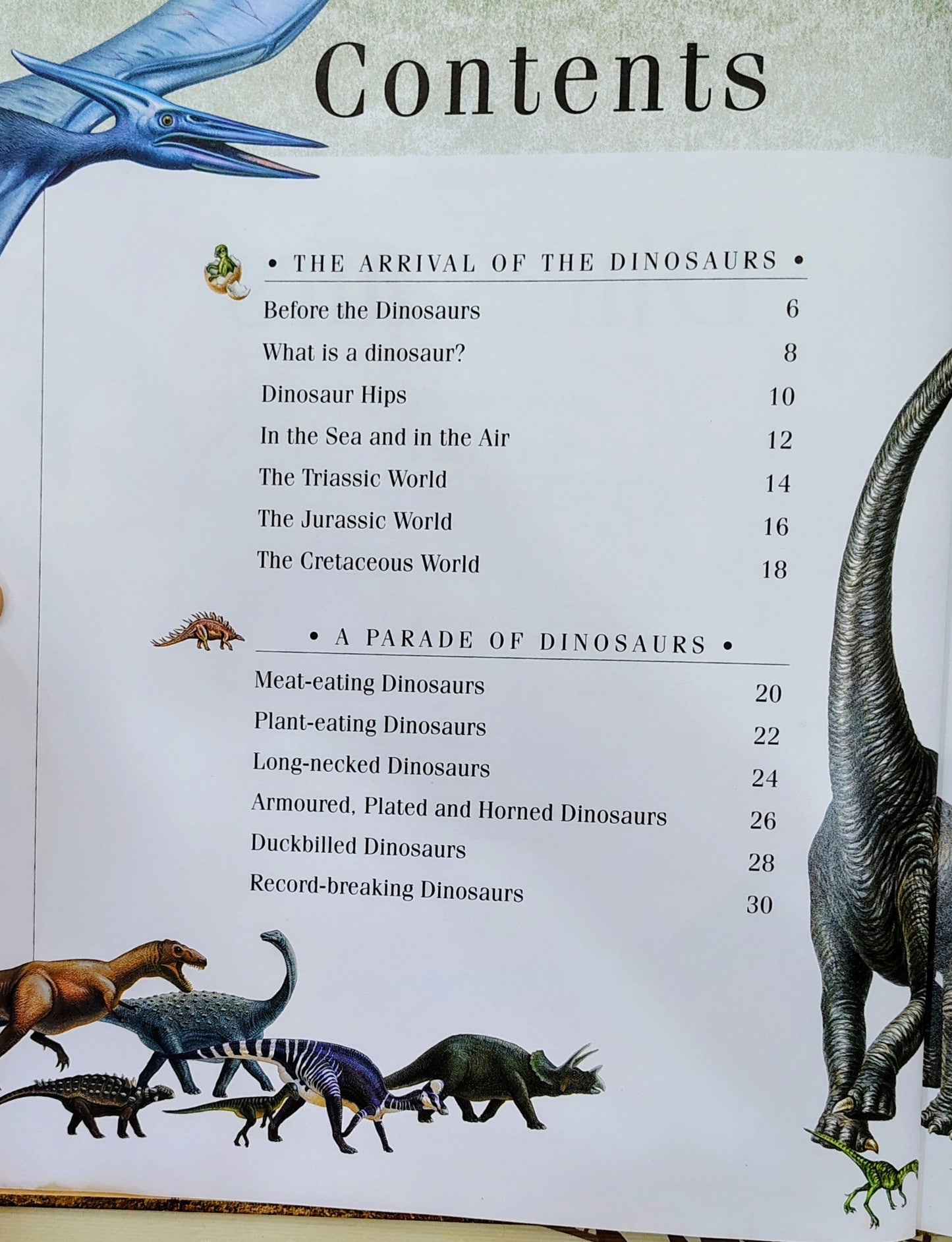 Dinosaurs by Discovery | Macdonald Young Books