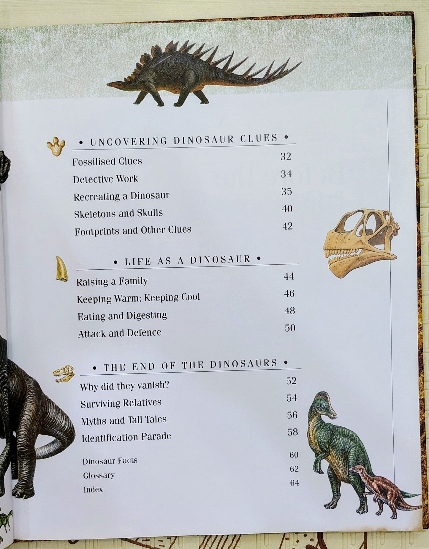 Dinosaurs by Discovery | Macdonald Young Books