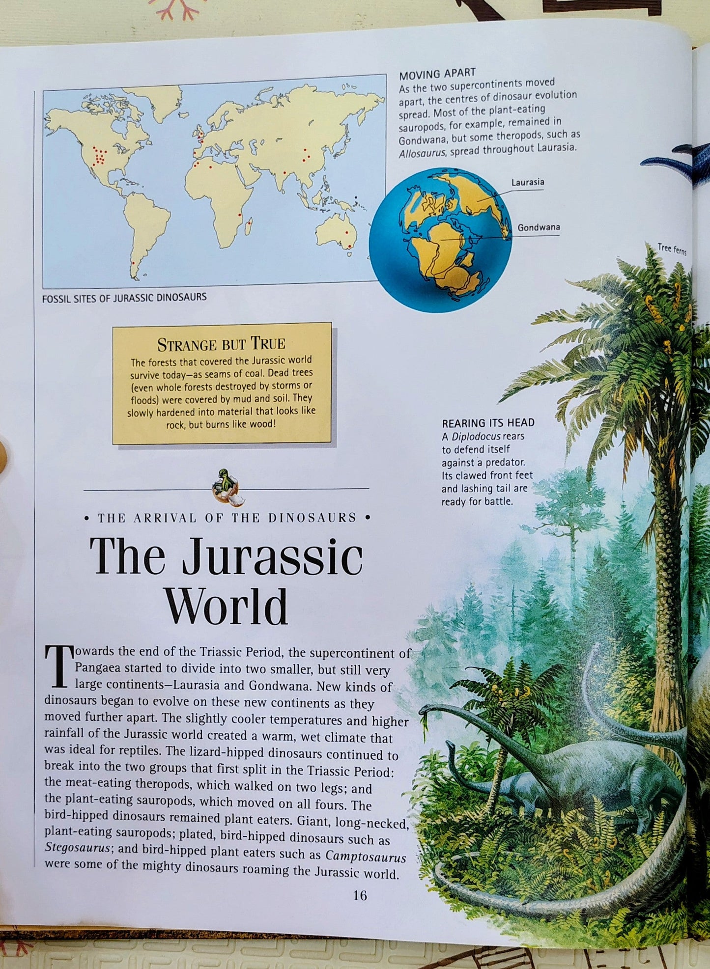 Dinosaurs by Discovery | Macdonald Young Books