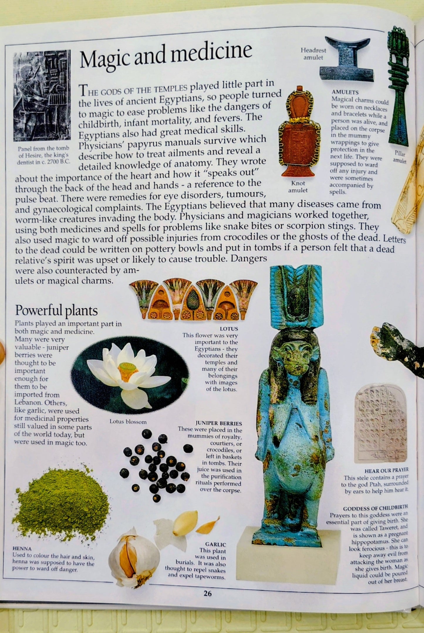 Ancient Egypt by Eyewitness Guides | DK | Curious Minds