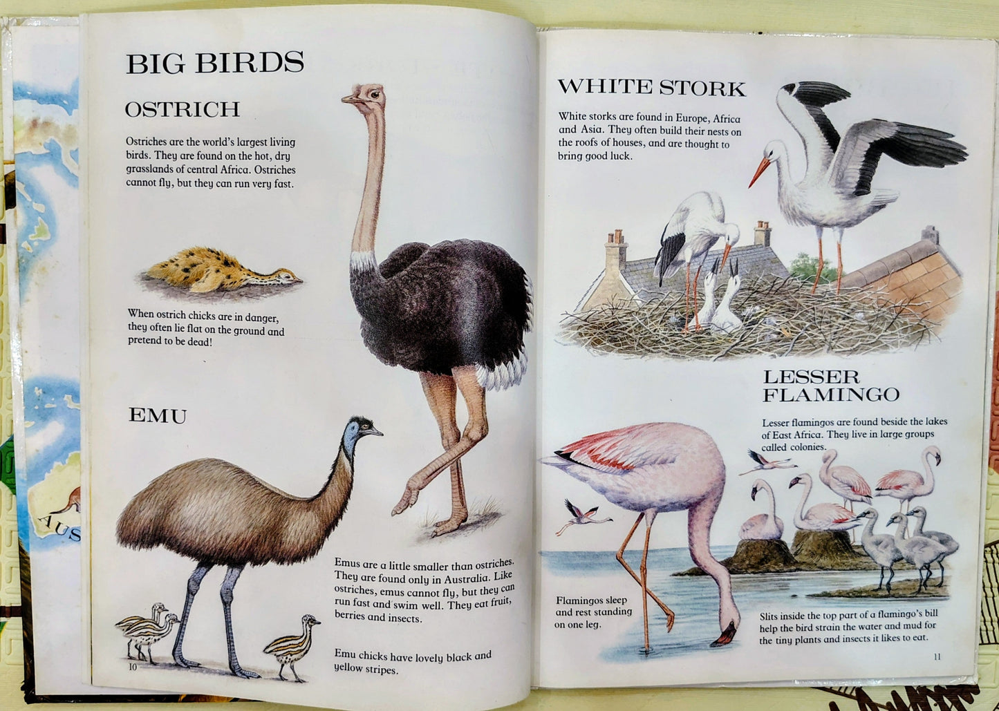 My First Book of Animals by Mothercare