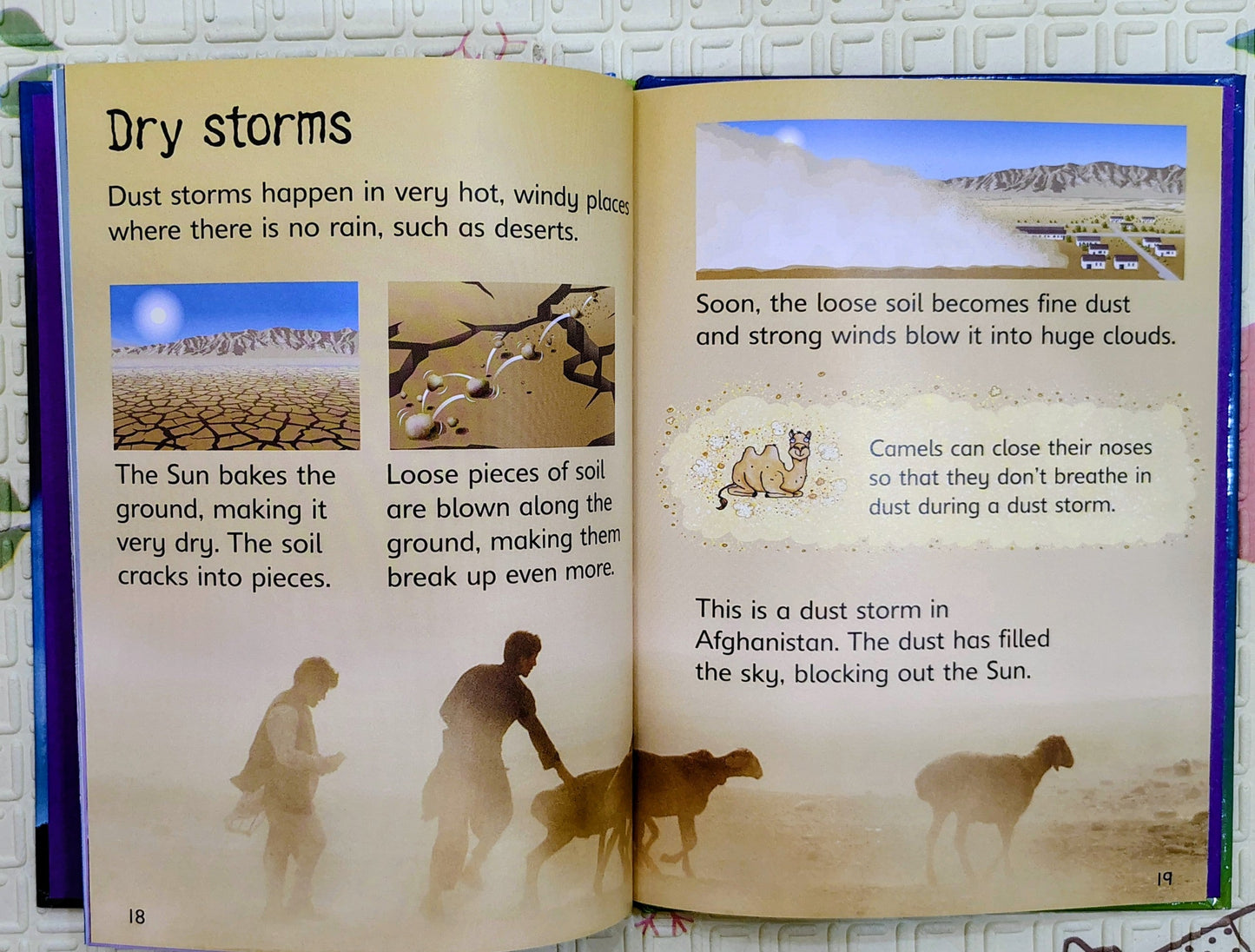 Storms and Hurricanes by Usborne