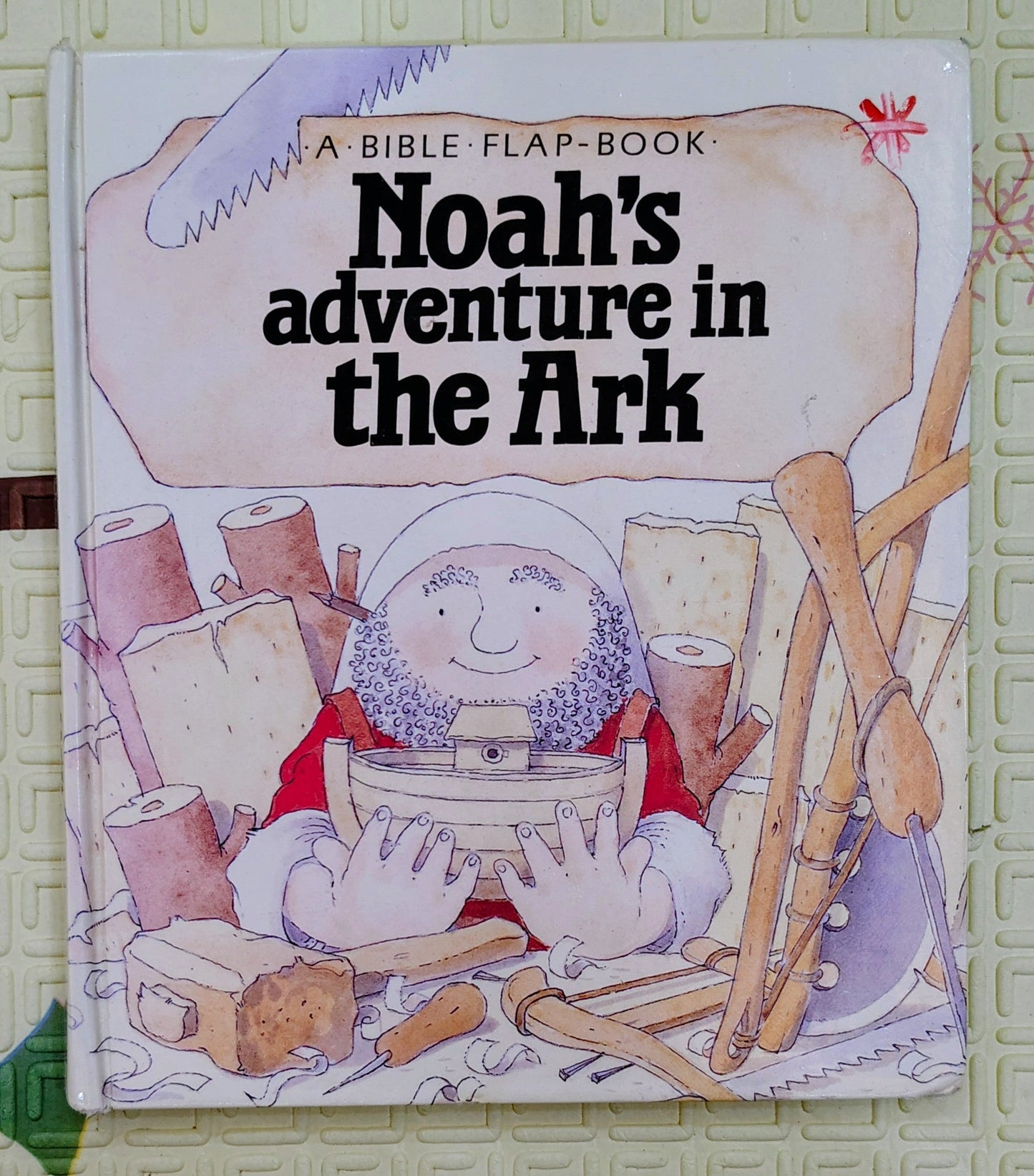 Noah's Adventure in the Ark | Flap and Fun