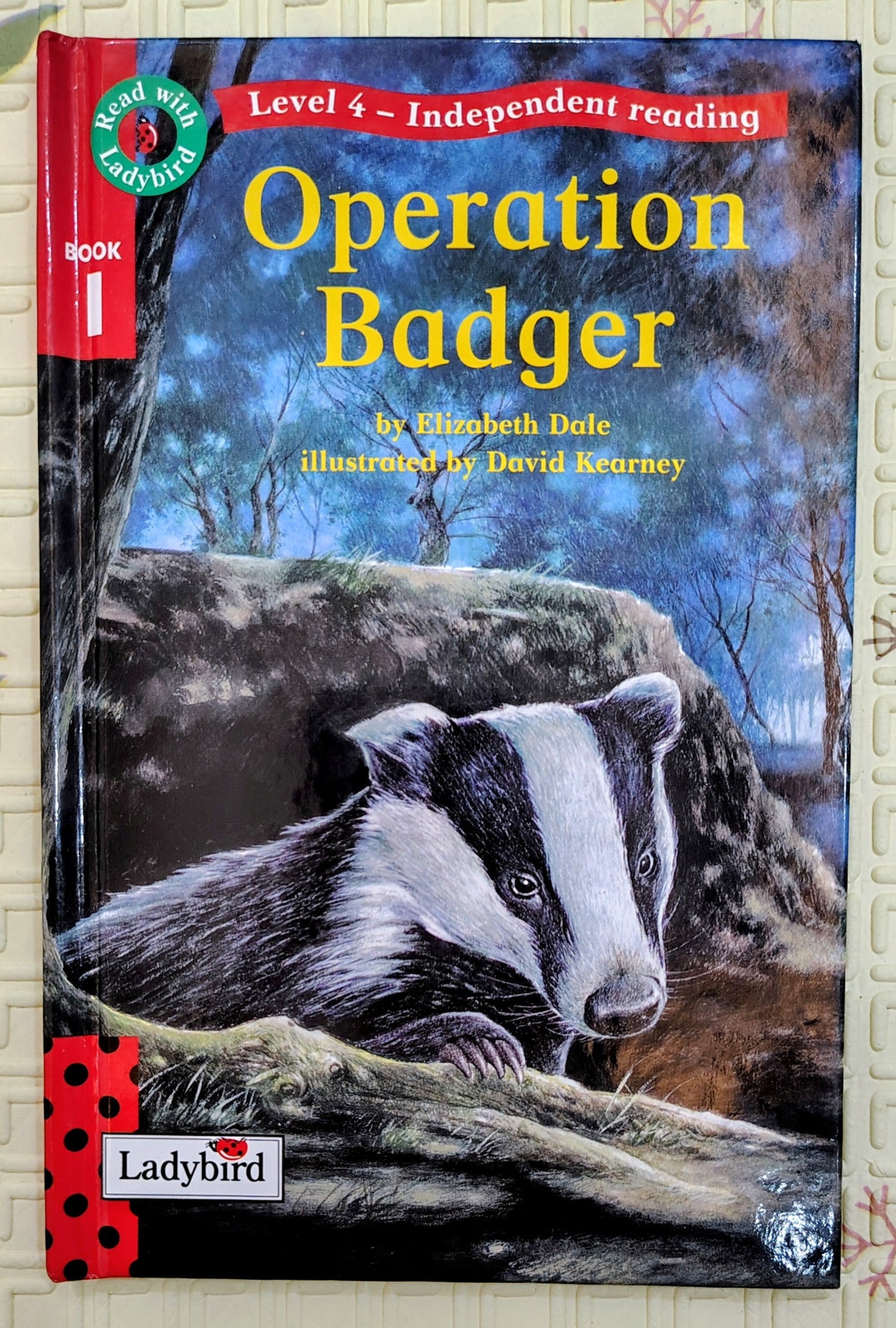 Operation Badger by Elizabeth Dale | Read with Ladybird Level 4