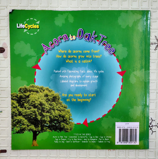 Acorn to Oak Tree by Camilla de la Bedoyere | LifeCycles