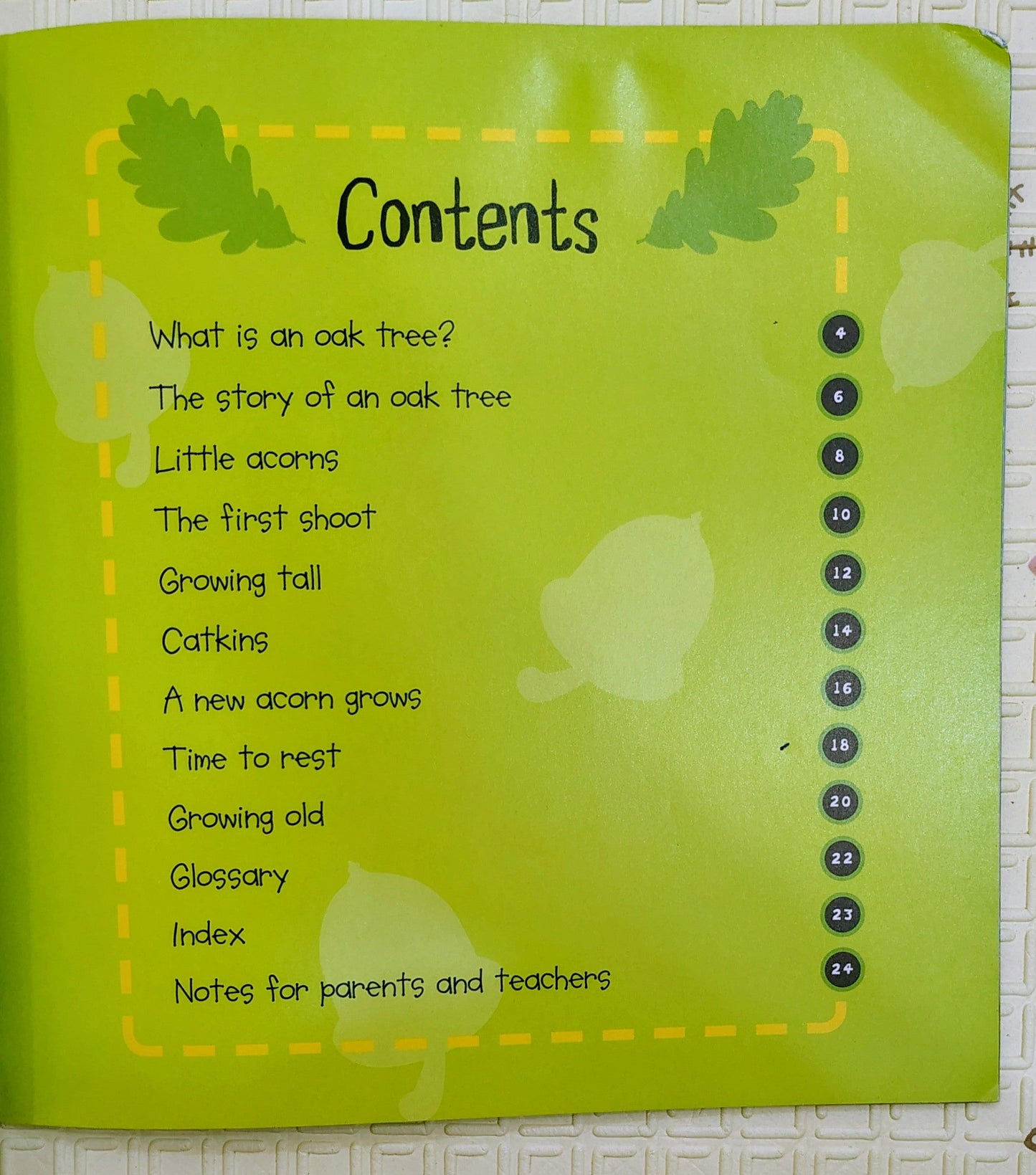 Acorn to Oak Tree by Camilla de la Bedoyere | LifeCycles