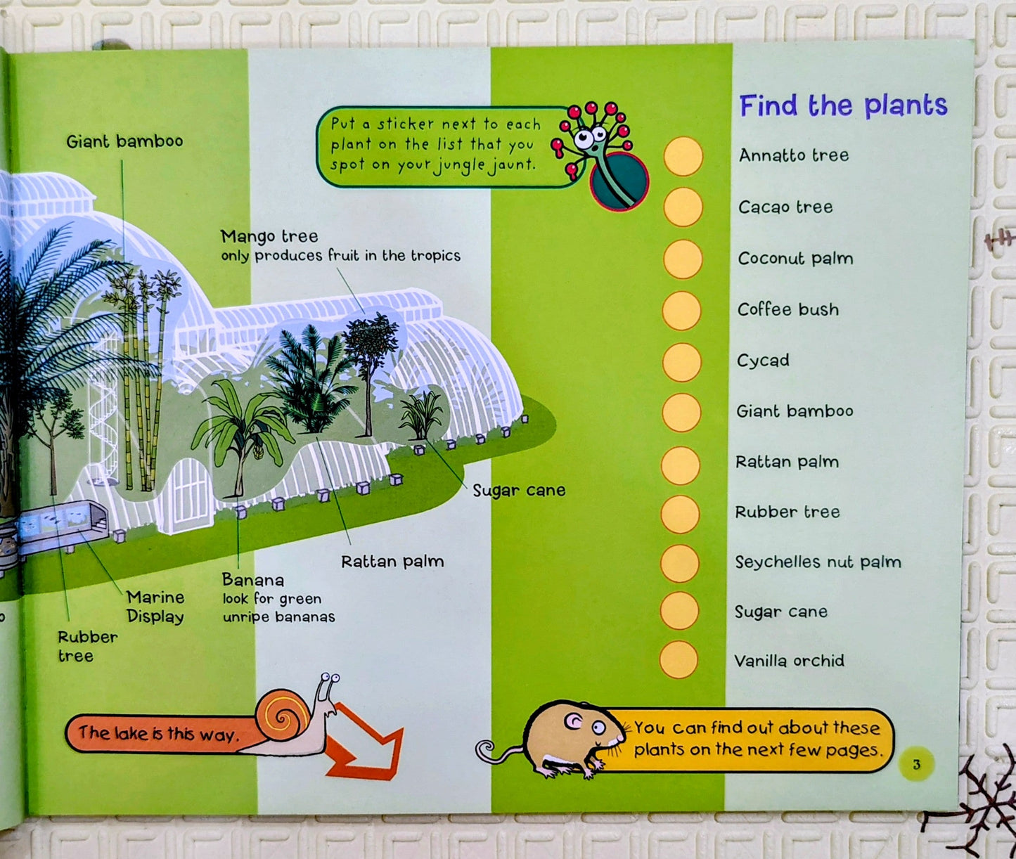 Kids' Kew: A Children's Guide by Royal Botanic Gardens