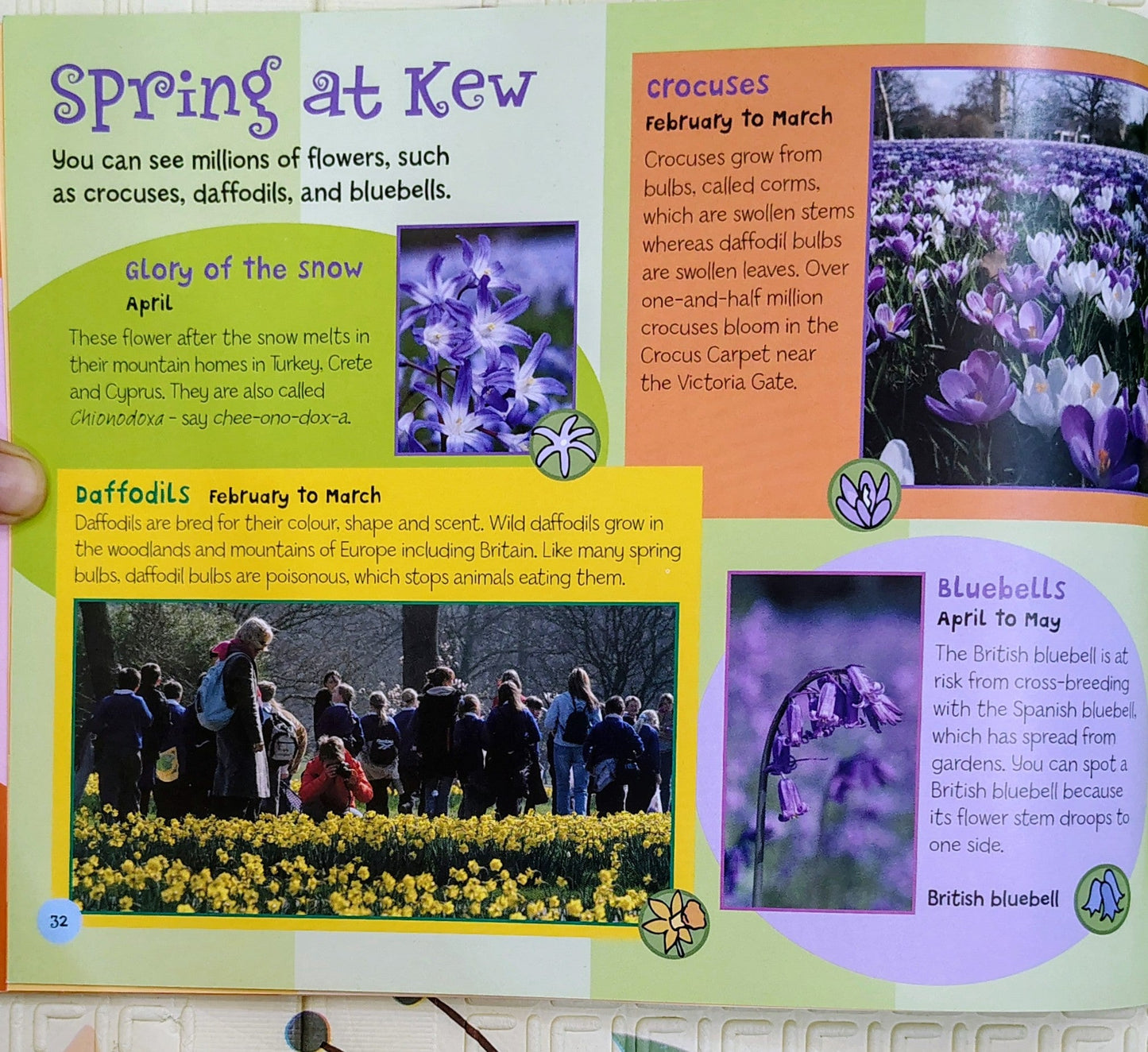 Kids' Kew: A Children's Guide by Royal Botanic Gardens