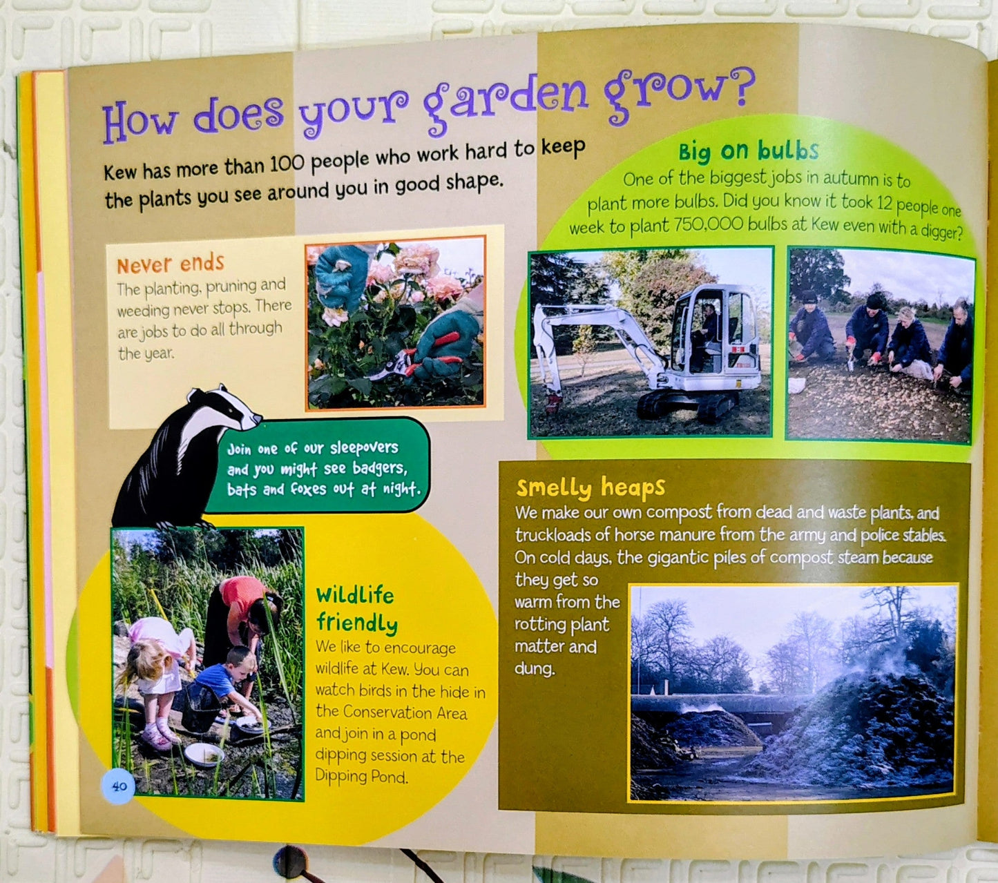 Kids' Kew: A Children's Guide by Royal Botanic Gardens