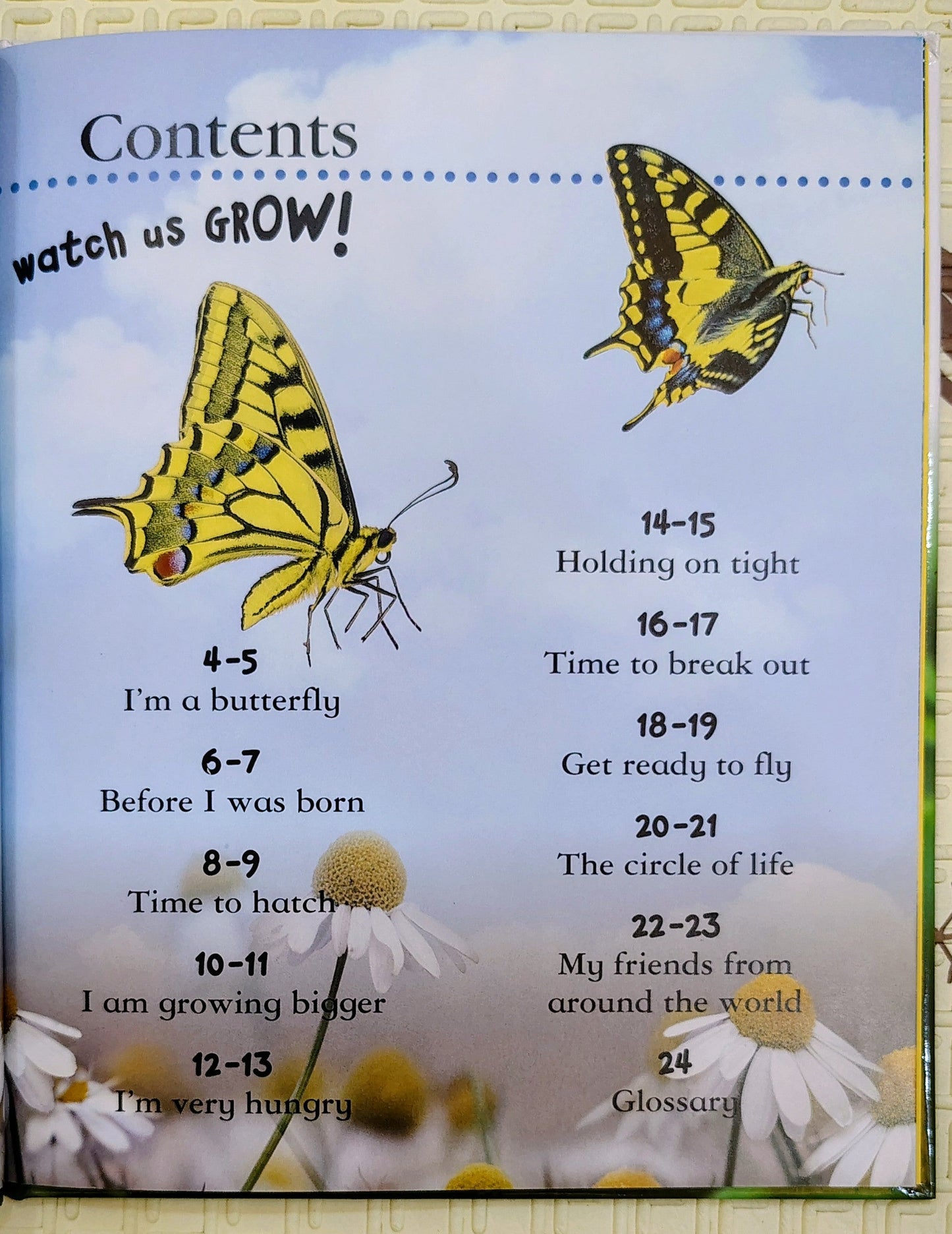 Watch Me Grow: Butterfly by DK