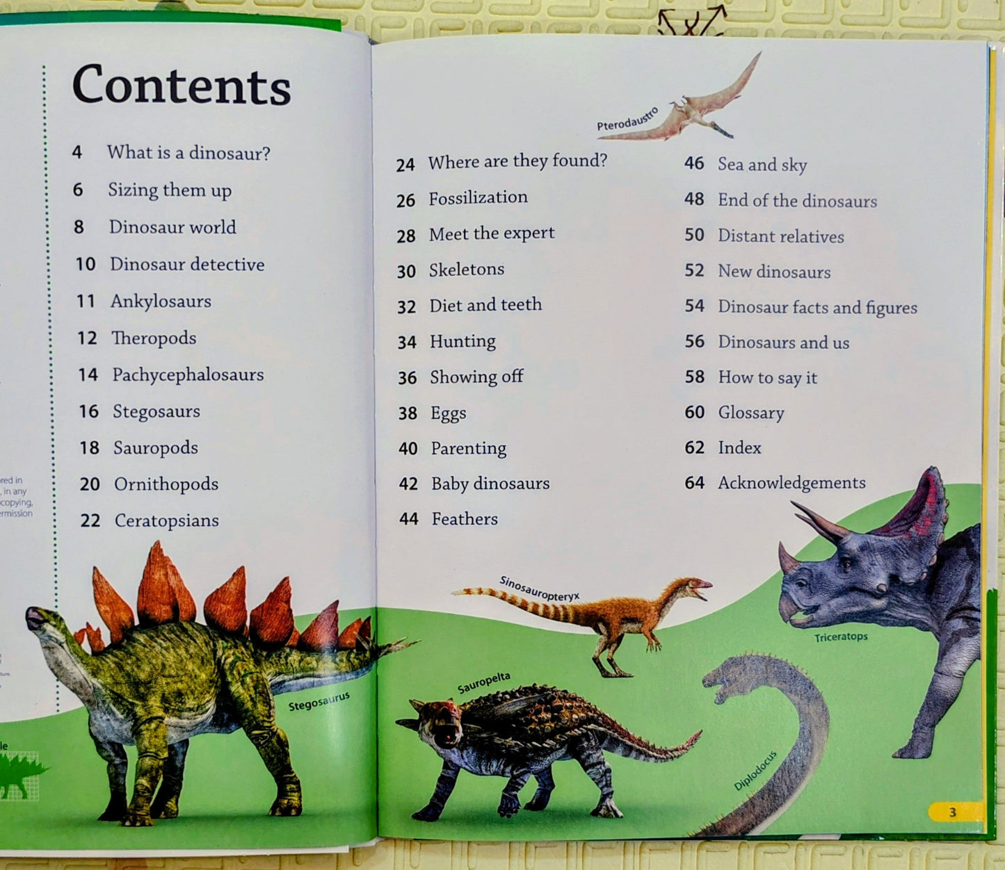 DK findout! Dinosaurs | Facts , Quizzes