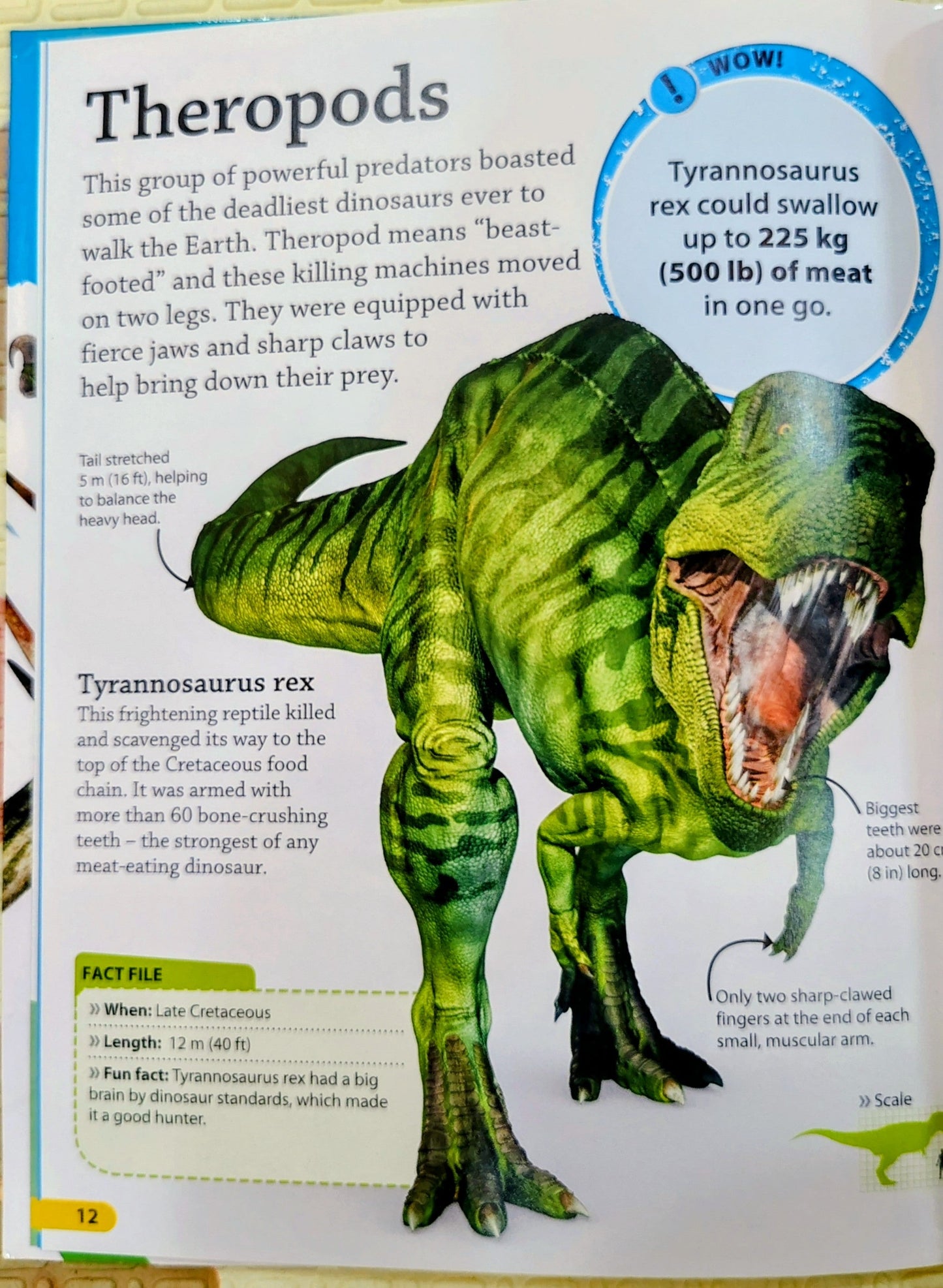 DK findout! Dinosaurs | Facts , Quizzes