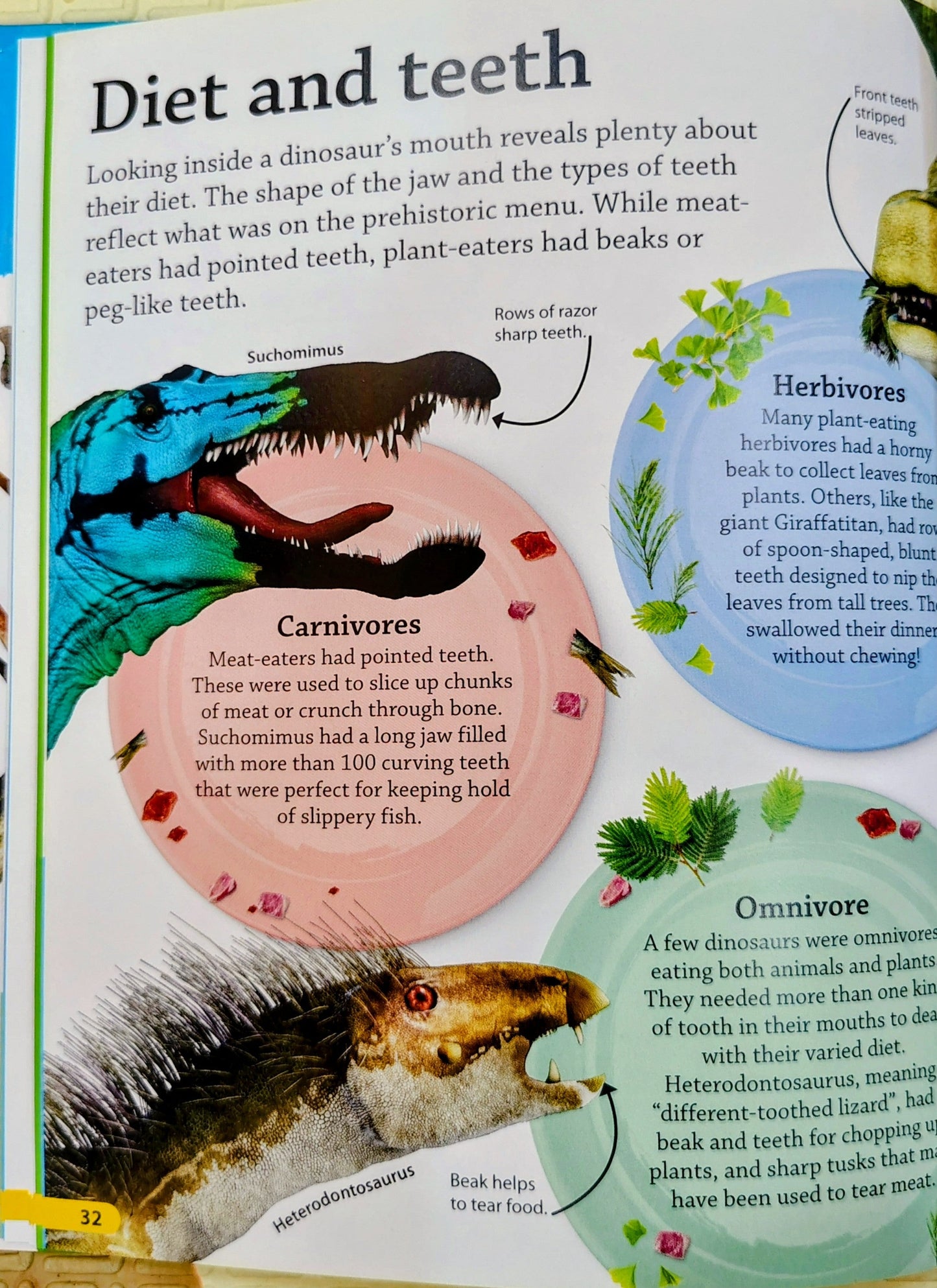 DK findout! Dinosaurs | Facts , Quizzes