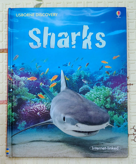 Sharks | Usborne Discovery