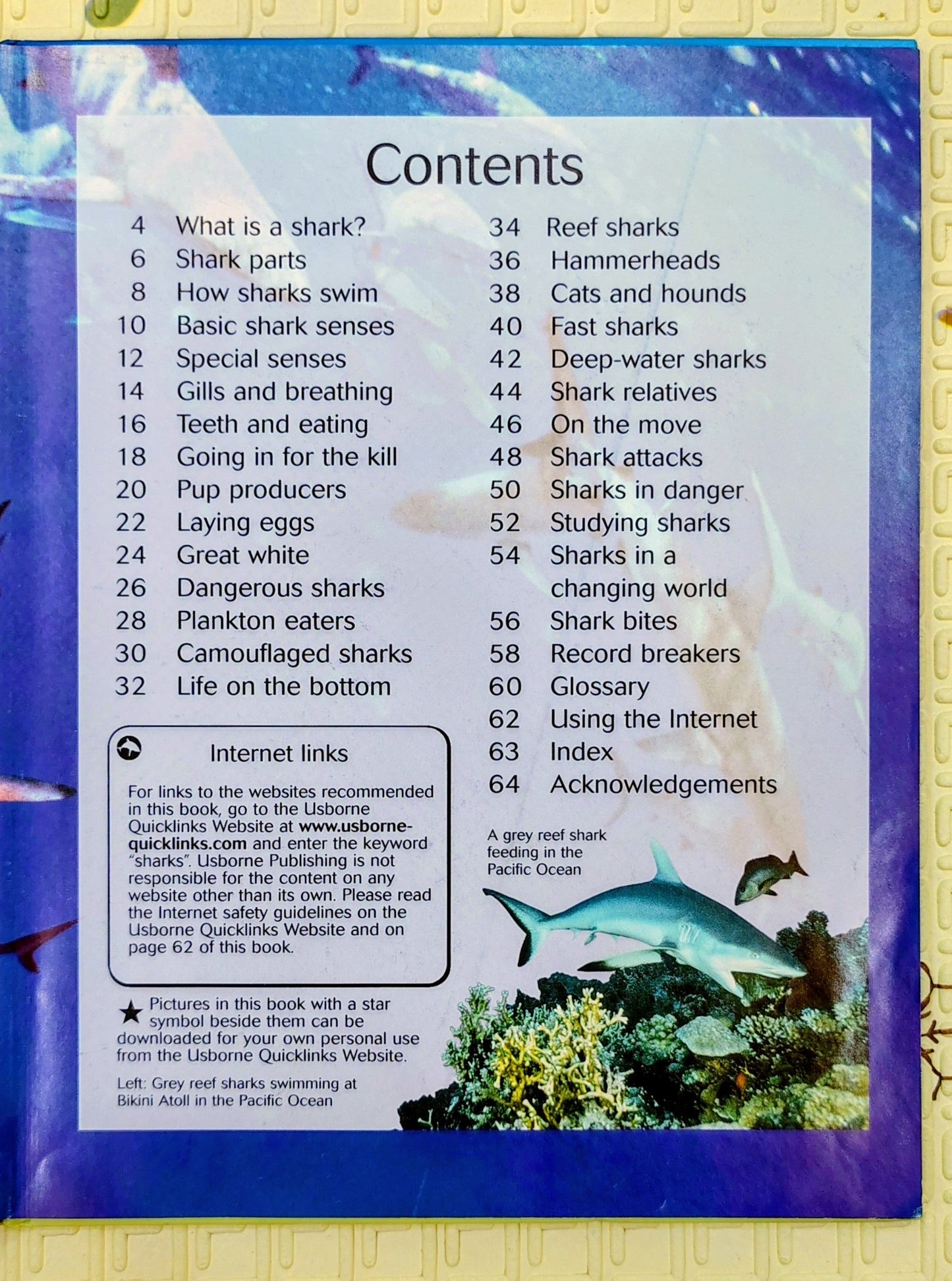 Sharks | Usborne Discovery