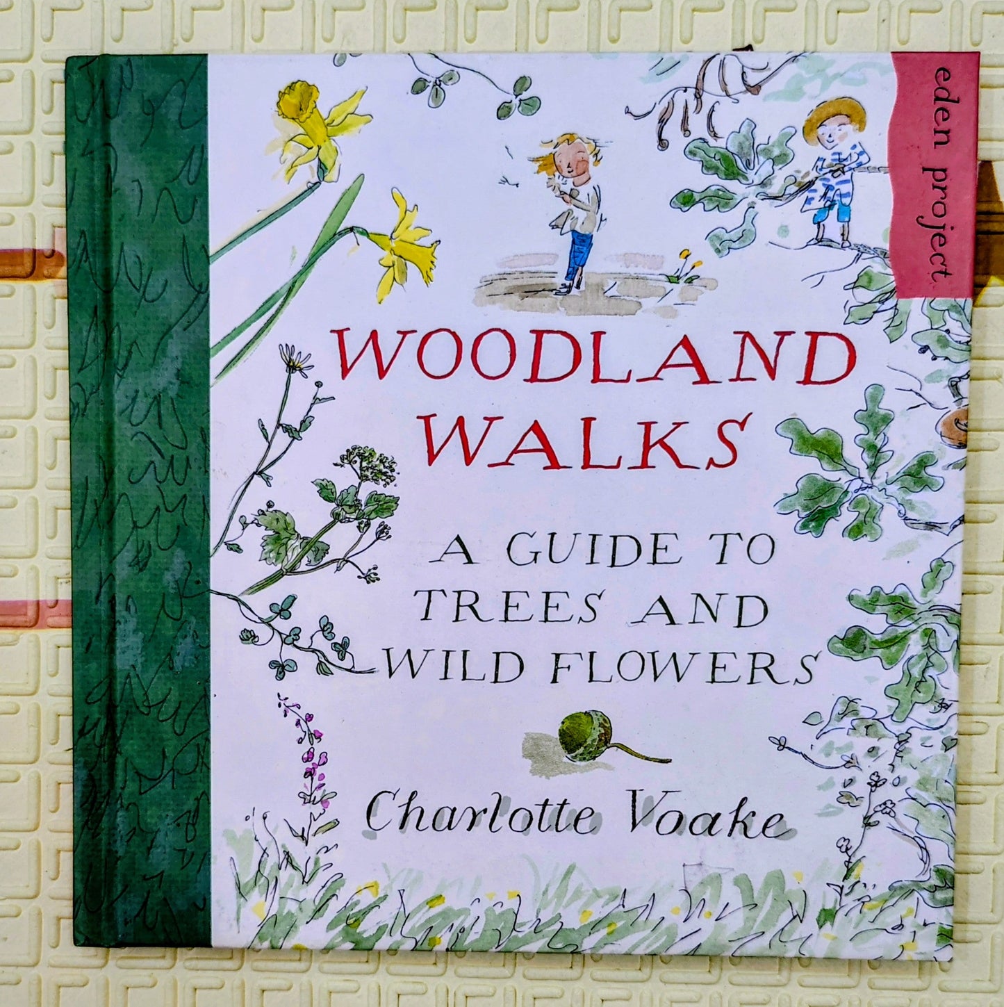 Woodland Walks by Charlotte Voake | A Guide to Trees and Flowers