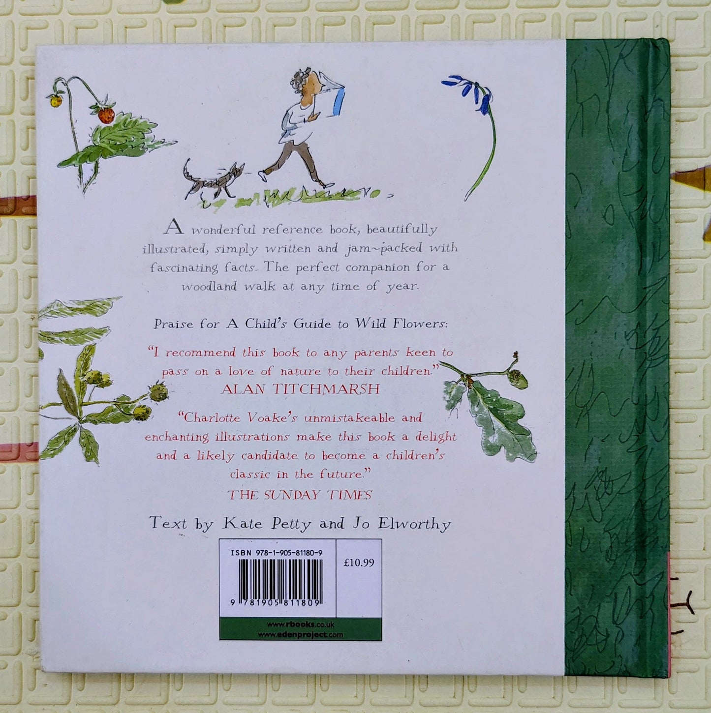 Woodland Walks by Charlotte Voake | A Guide to Trees and Flowers