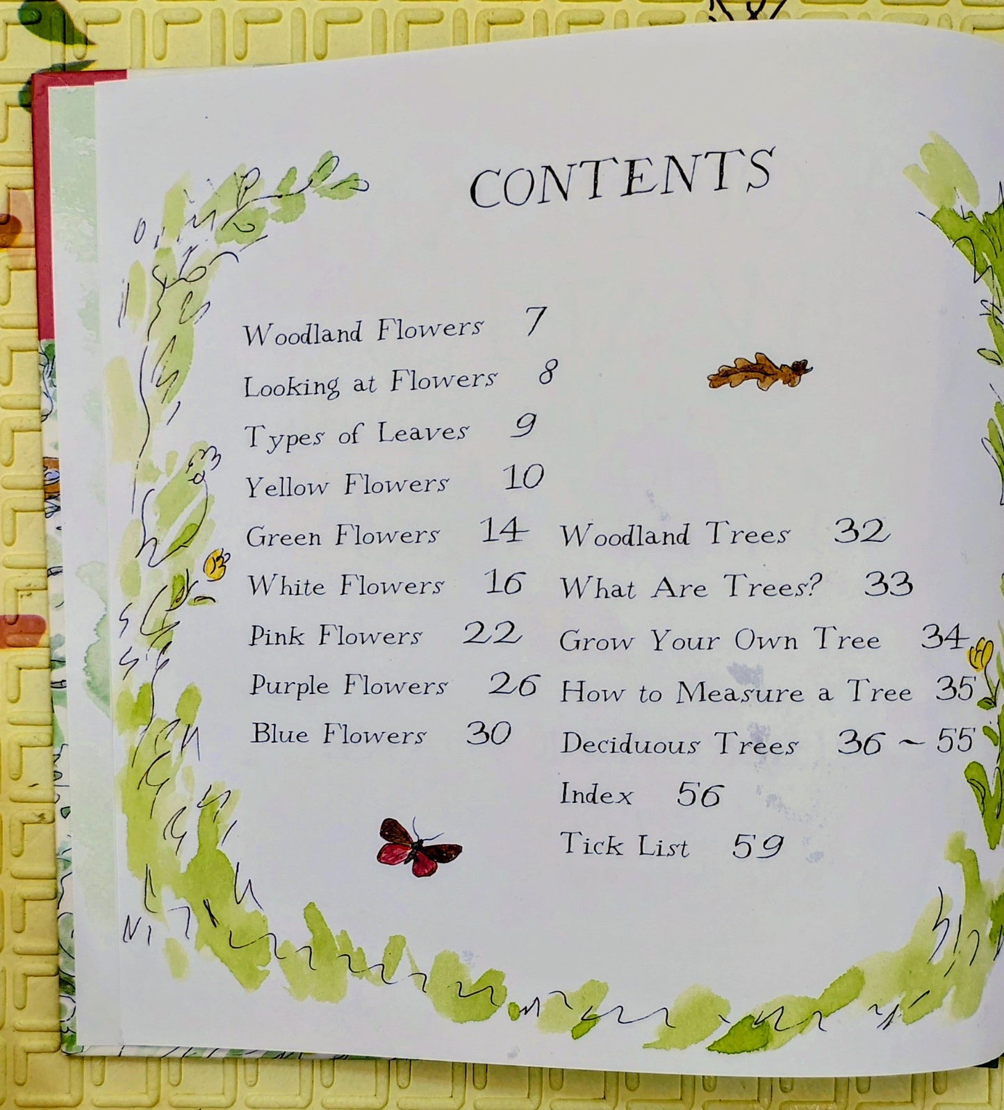 Woodland Walks by Charlotte Voake | A Guide to Trees and Flowers