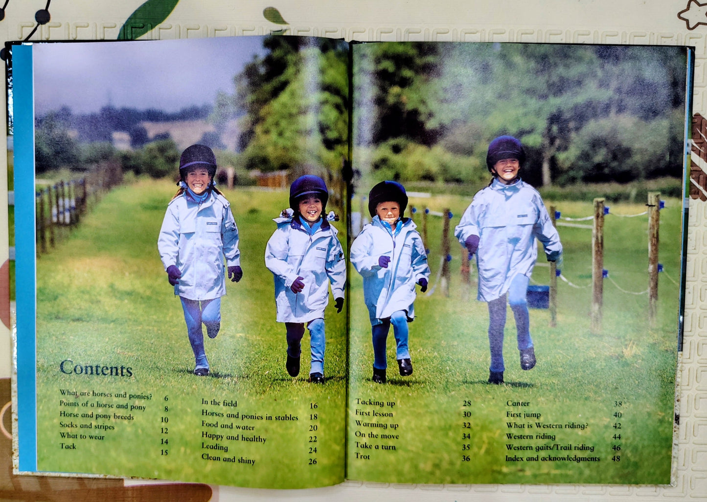My First Horse and Pony Book by Judith Draper