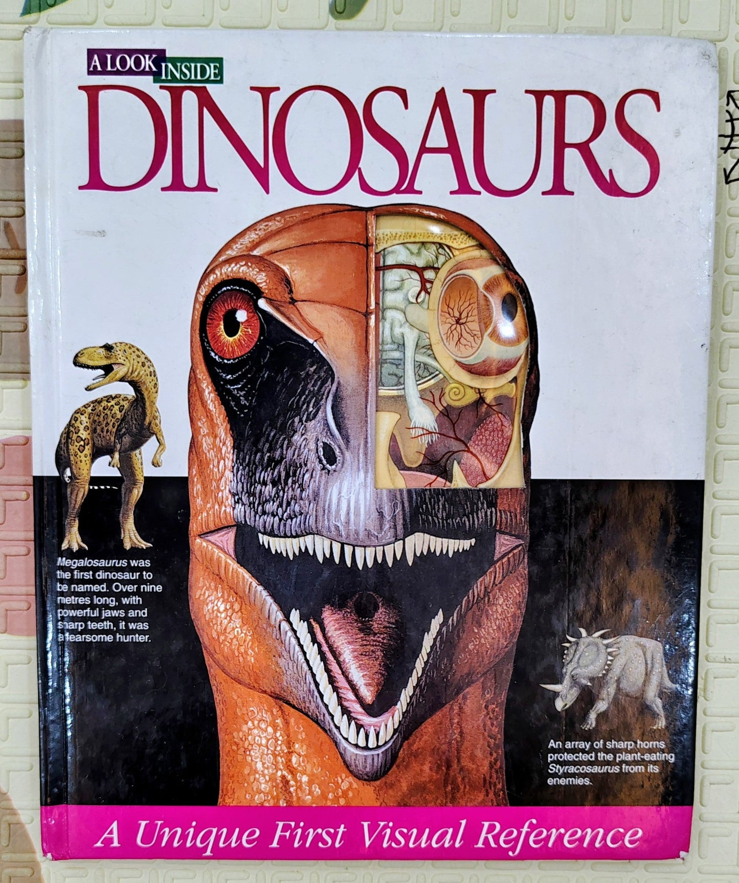 A Look Inside Dinosaurs by Neil Clark