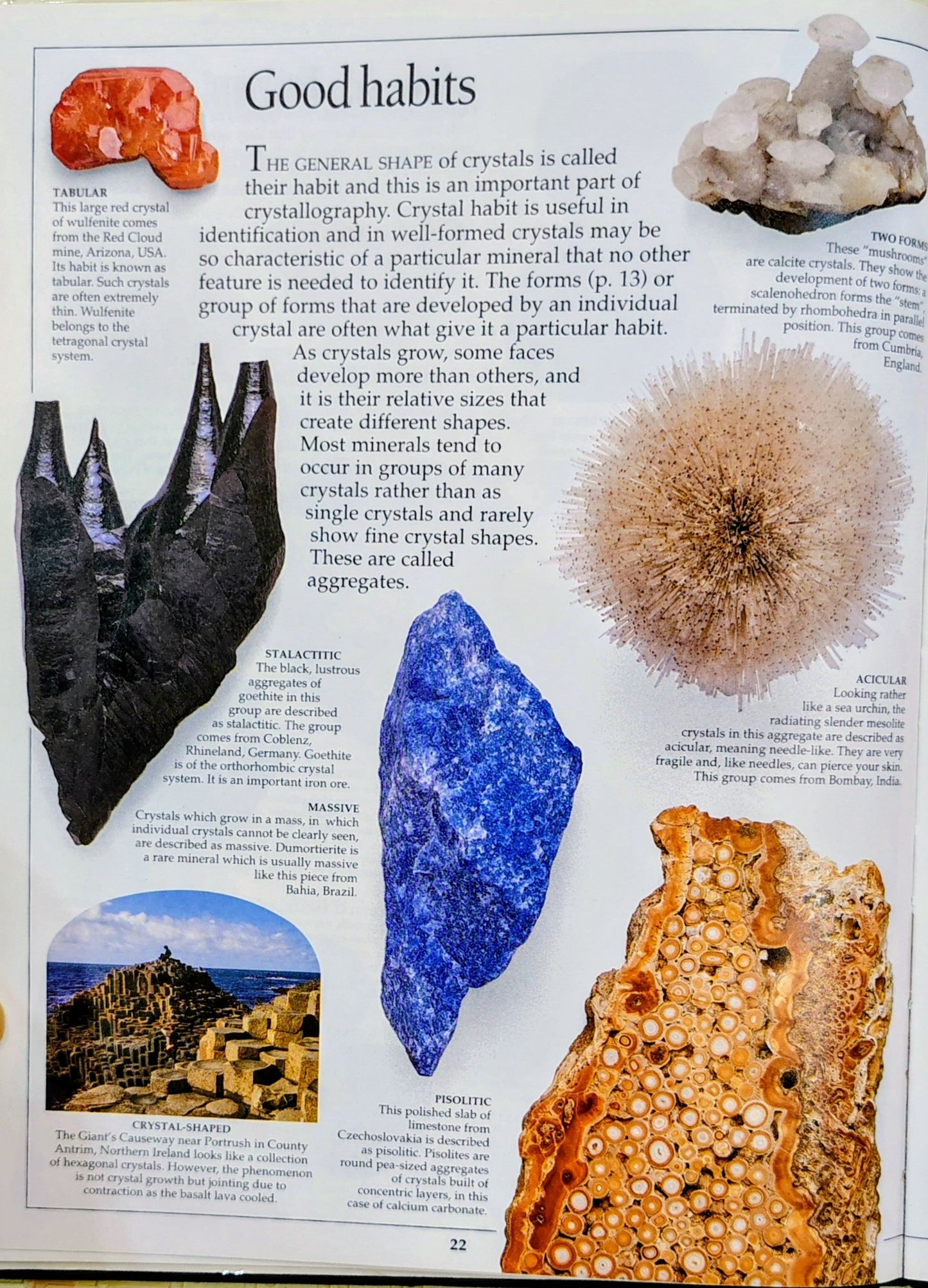 Crystal & Gem | Eyewitness Guides
