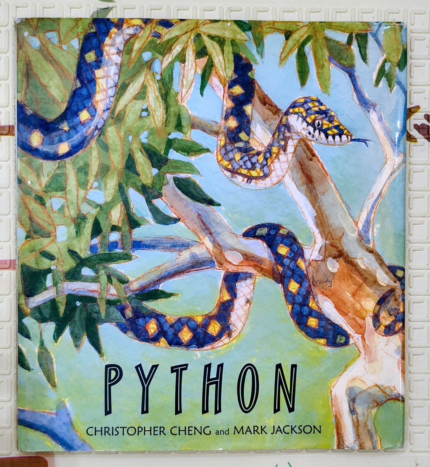 Python by Christopher Cheng and Mark Jackson