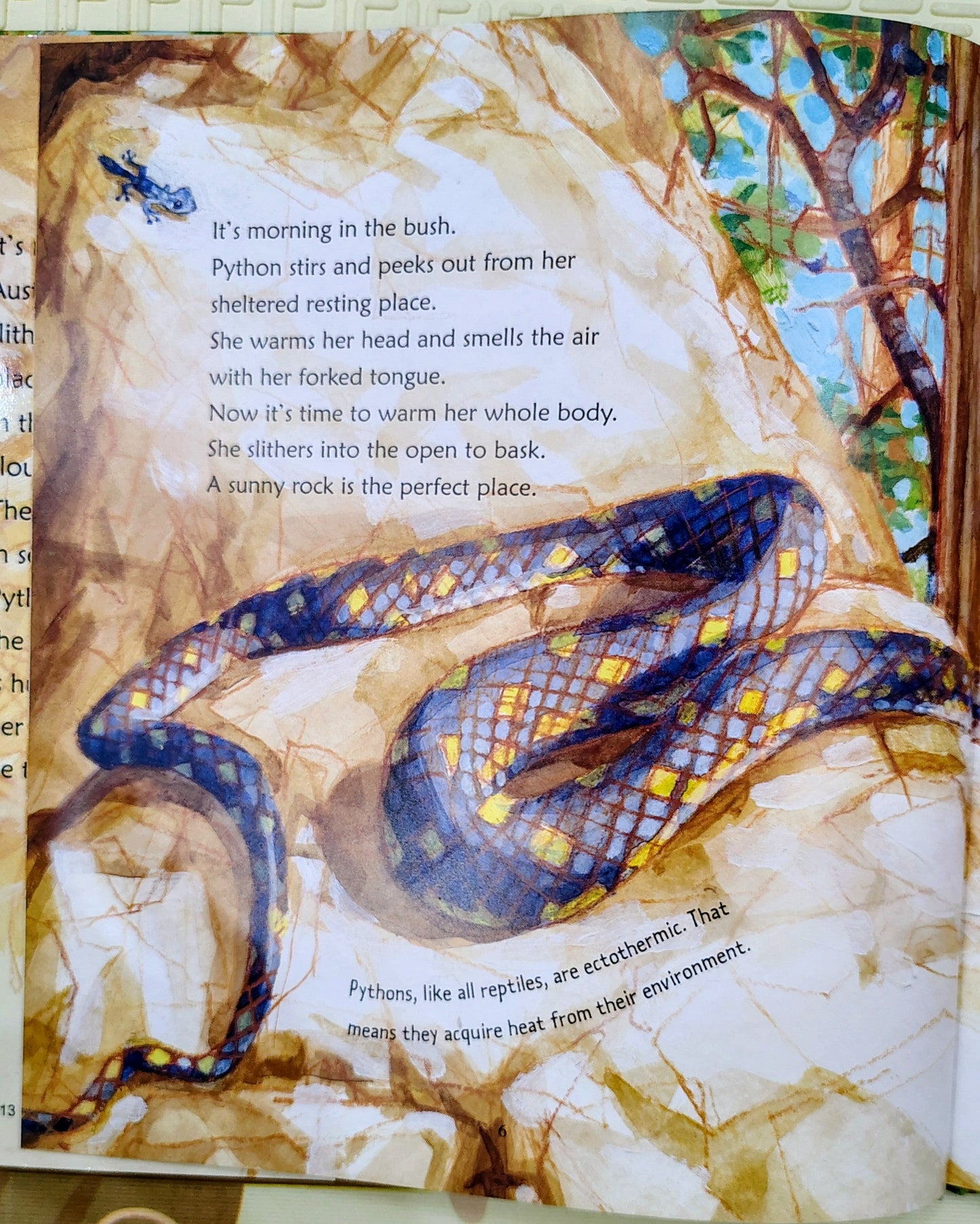 Python by Christopher Cheng and Mark Jackson