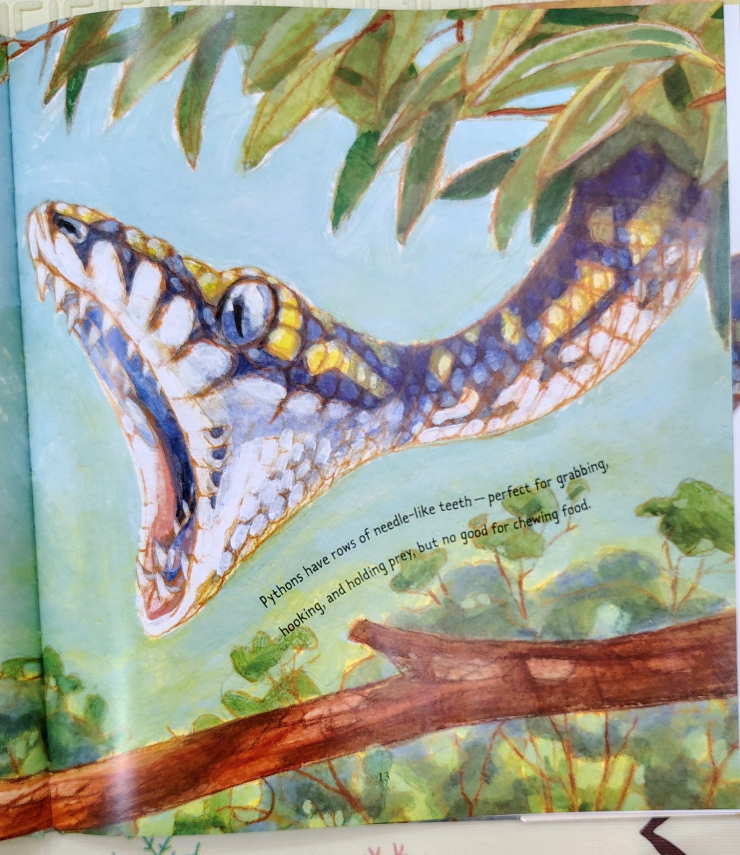 Python by Christopher Cheng and Mark Jackson