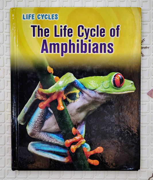 The Life Cycle of Amphibians | Life Cycles Series