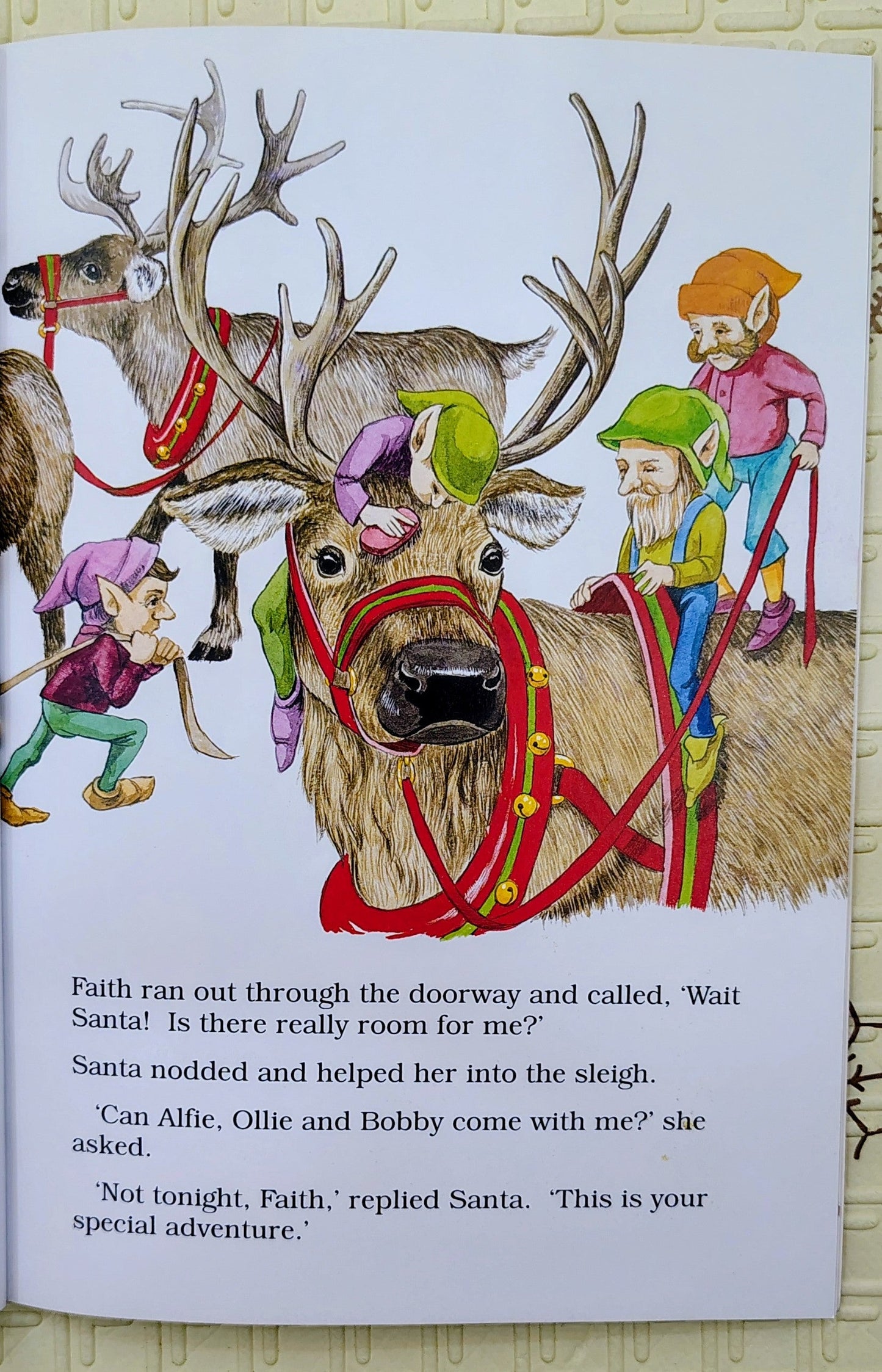 My Special Christmas Adventure
