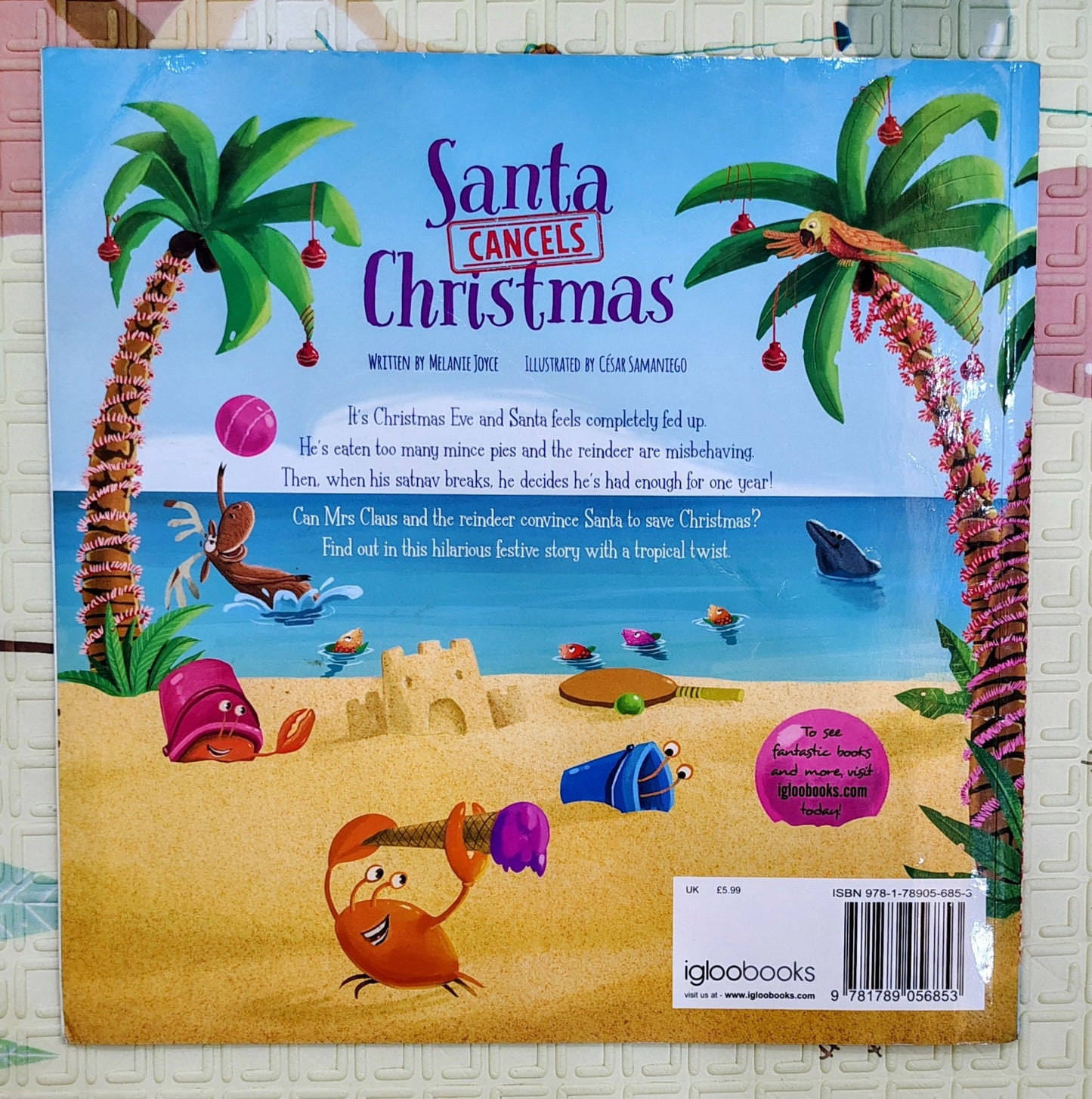 Santa Cancels Christmas by Jamie Dettmer | Igloobooks