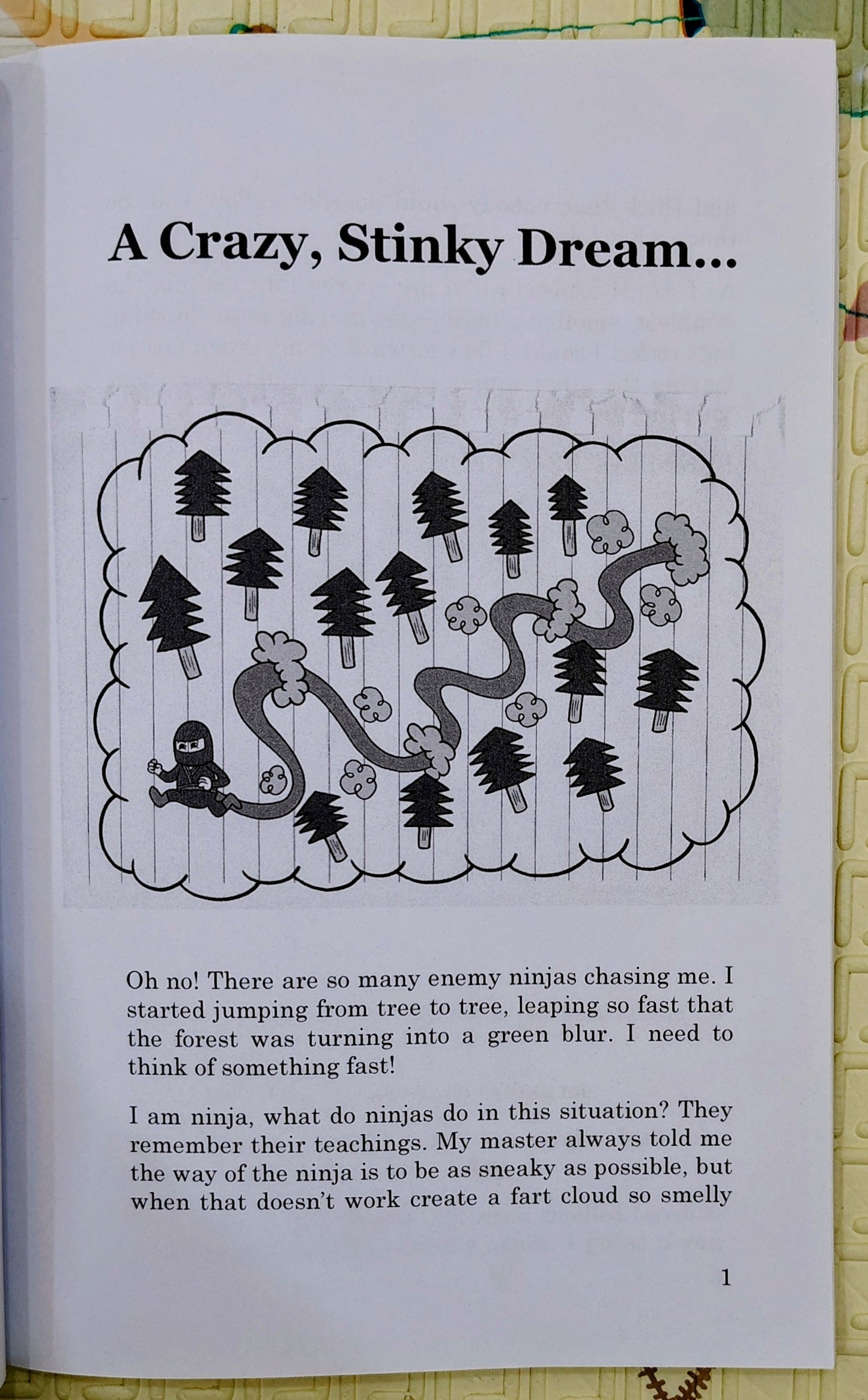 Ninja Farts: Silent But Deadly by J.B. O'Neil | Humor