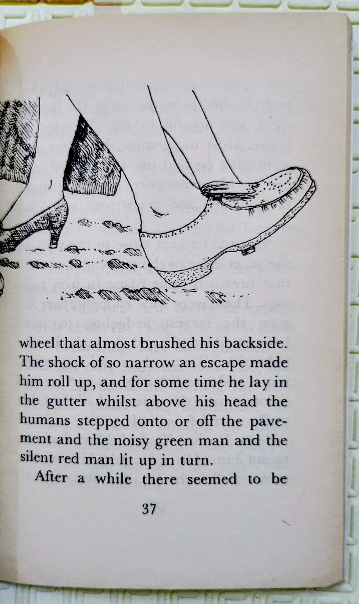 The Hodgeheg by Dick King-Smith
